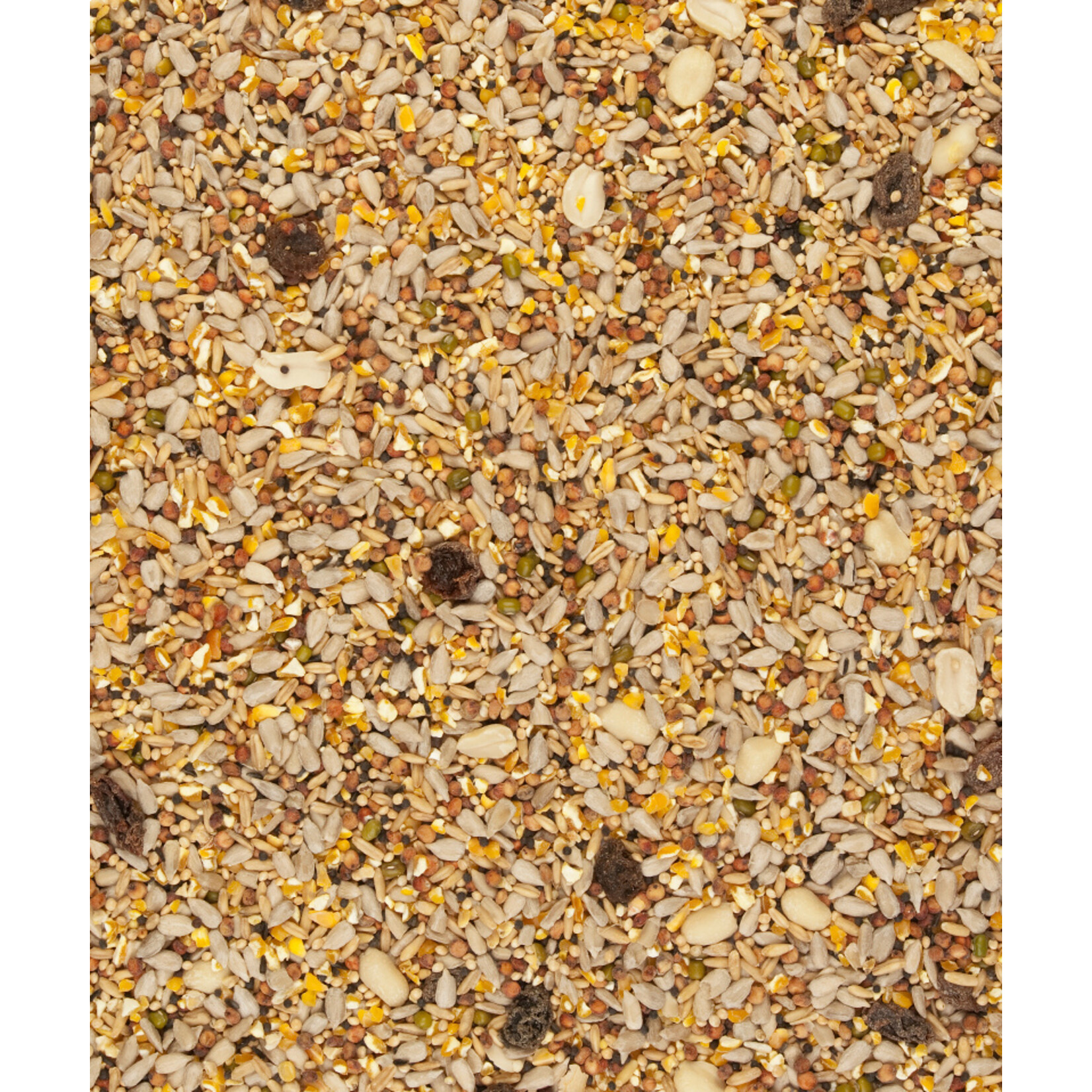 Versele-Laga 4 seizoenen Luxe strooivoer voor buitenvogels 10 kg