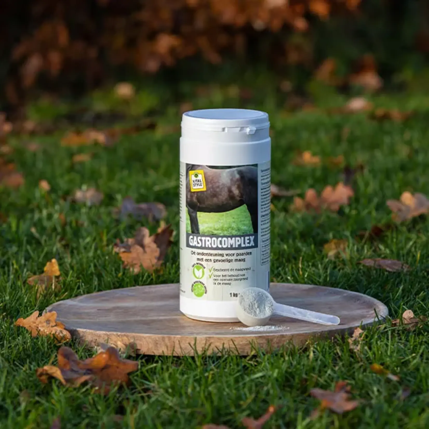 VITALstyle GastroComplex 1 kg