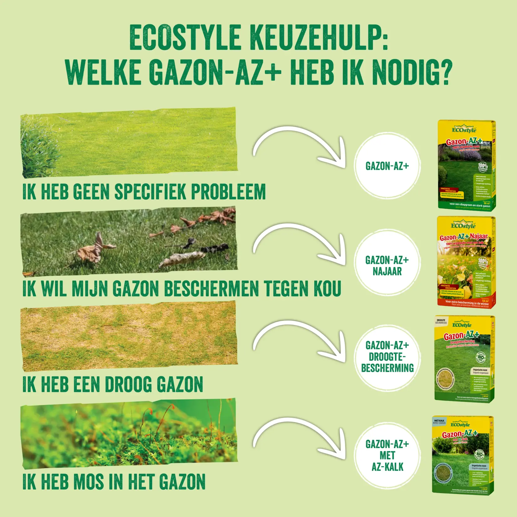 ECOstyle Gazon AZ 2 kg (30 m²) met ProtoPlus en RhizaMax