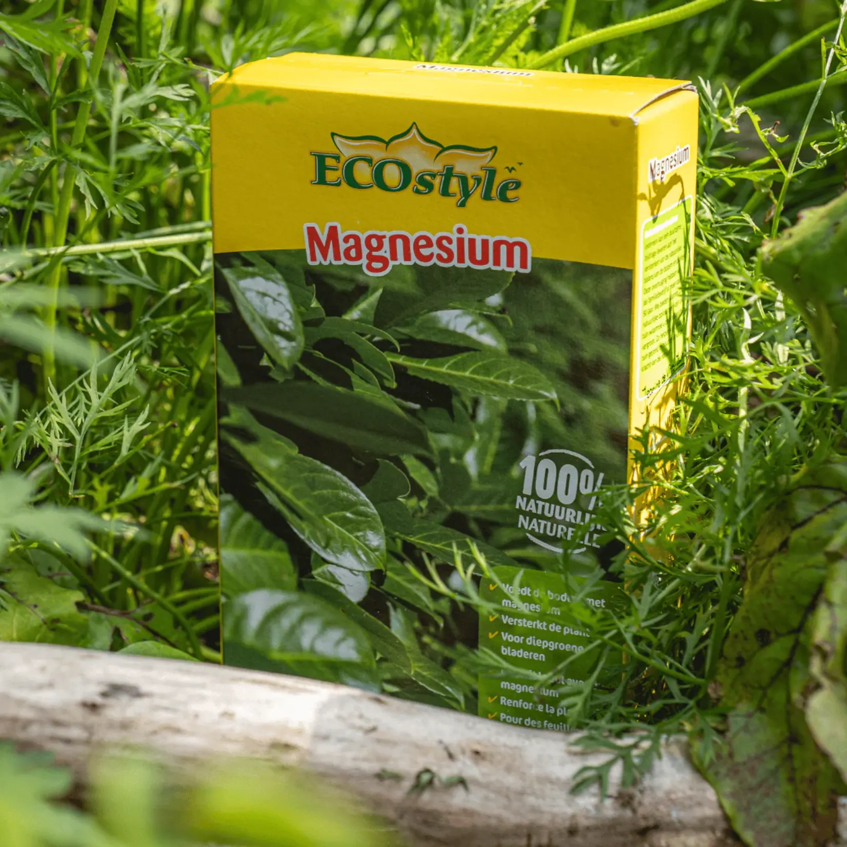 ECOstyle Magnesium 1 kg