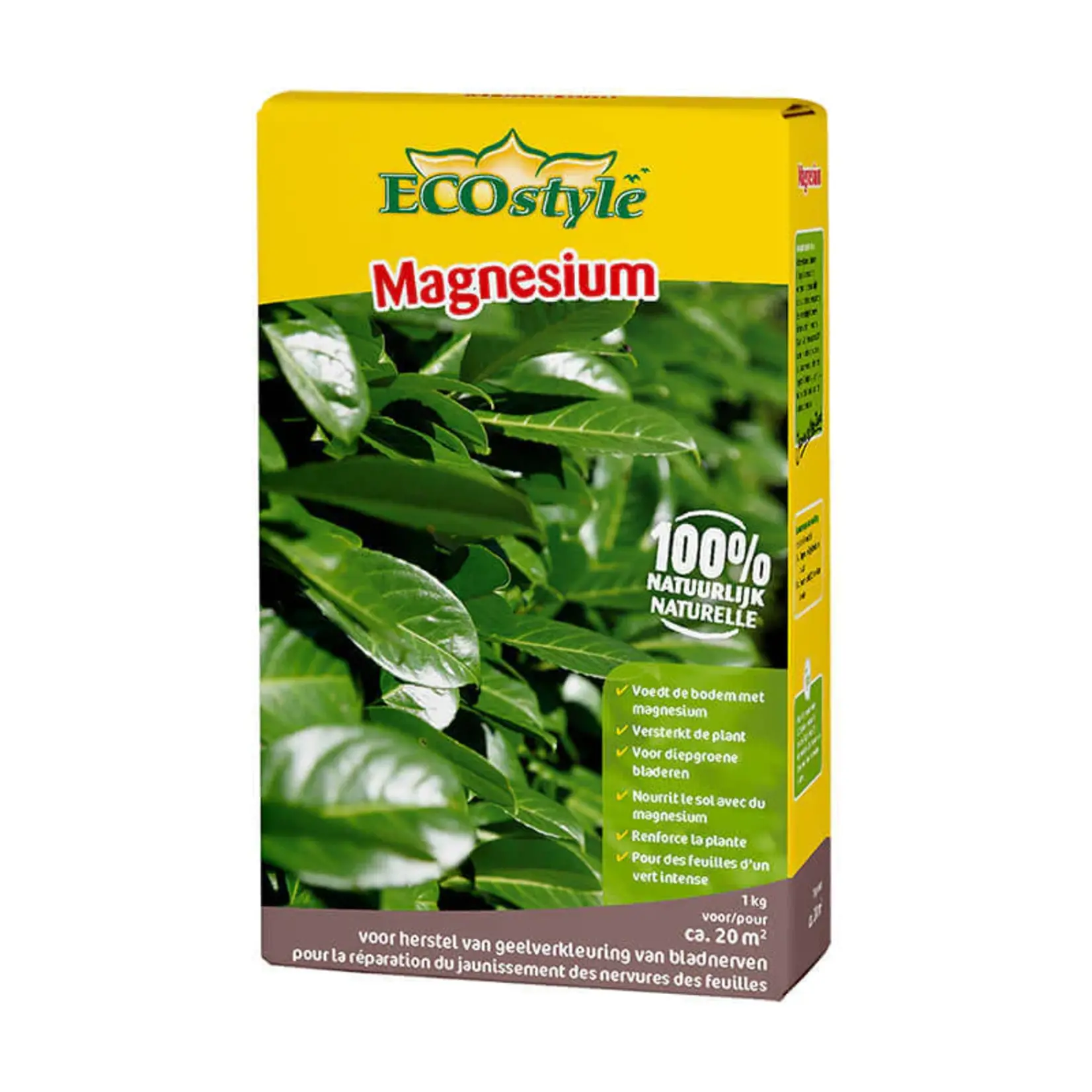 ECOstyle Magnesium 1 kg