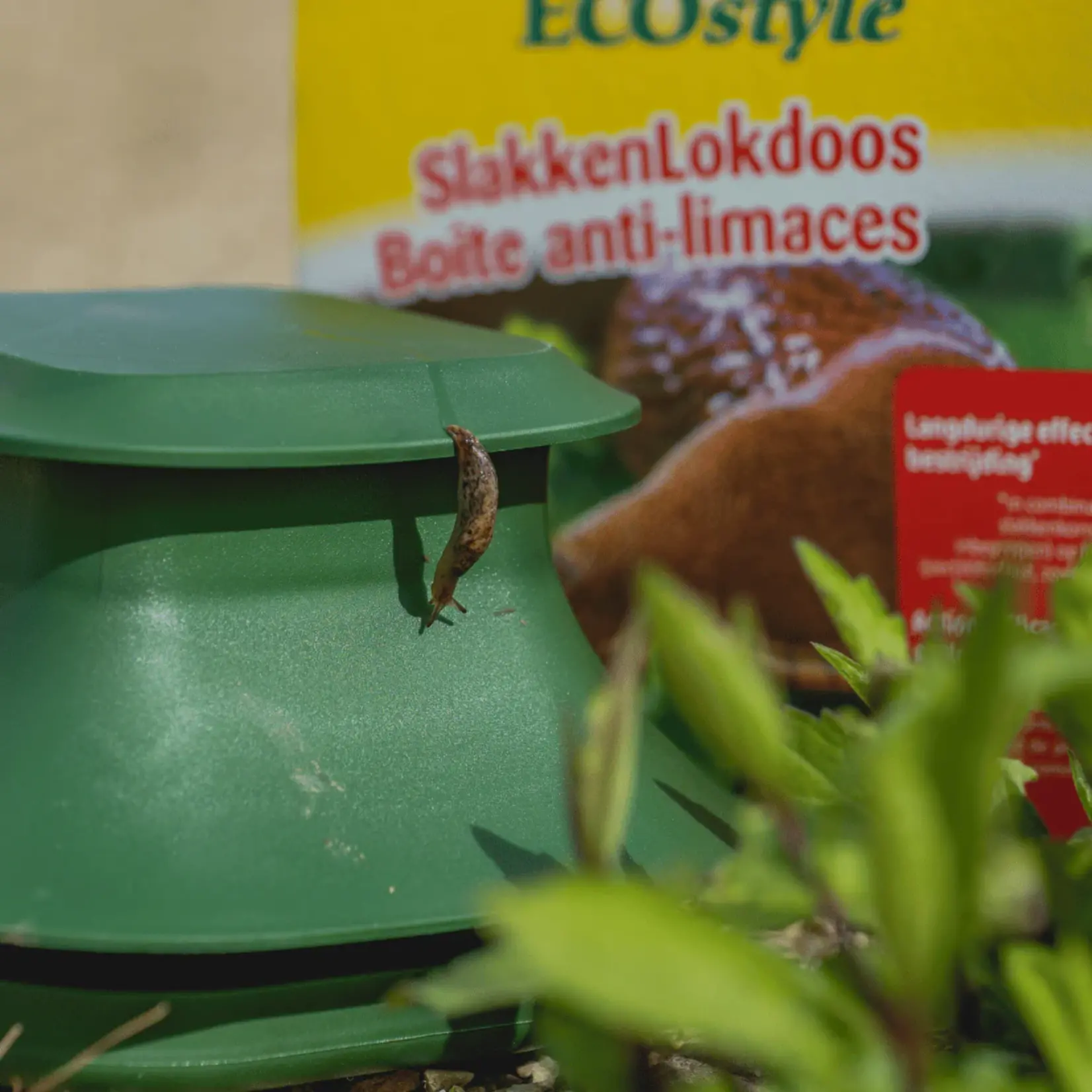 ECOstyle Slakkenlokdoos 400 m²