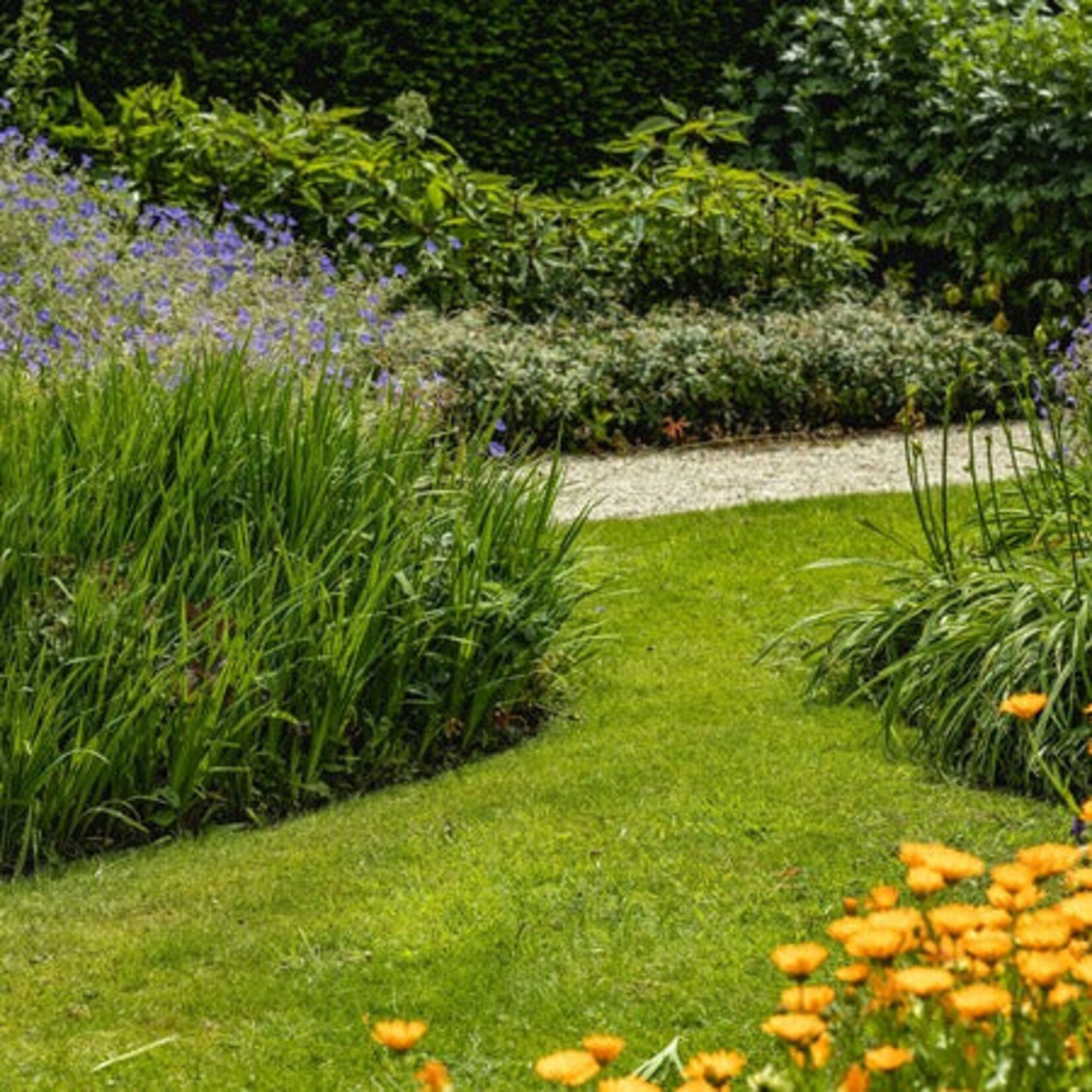 ECOstyle Tuinmest Universeel 5 kg (50 m²)