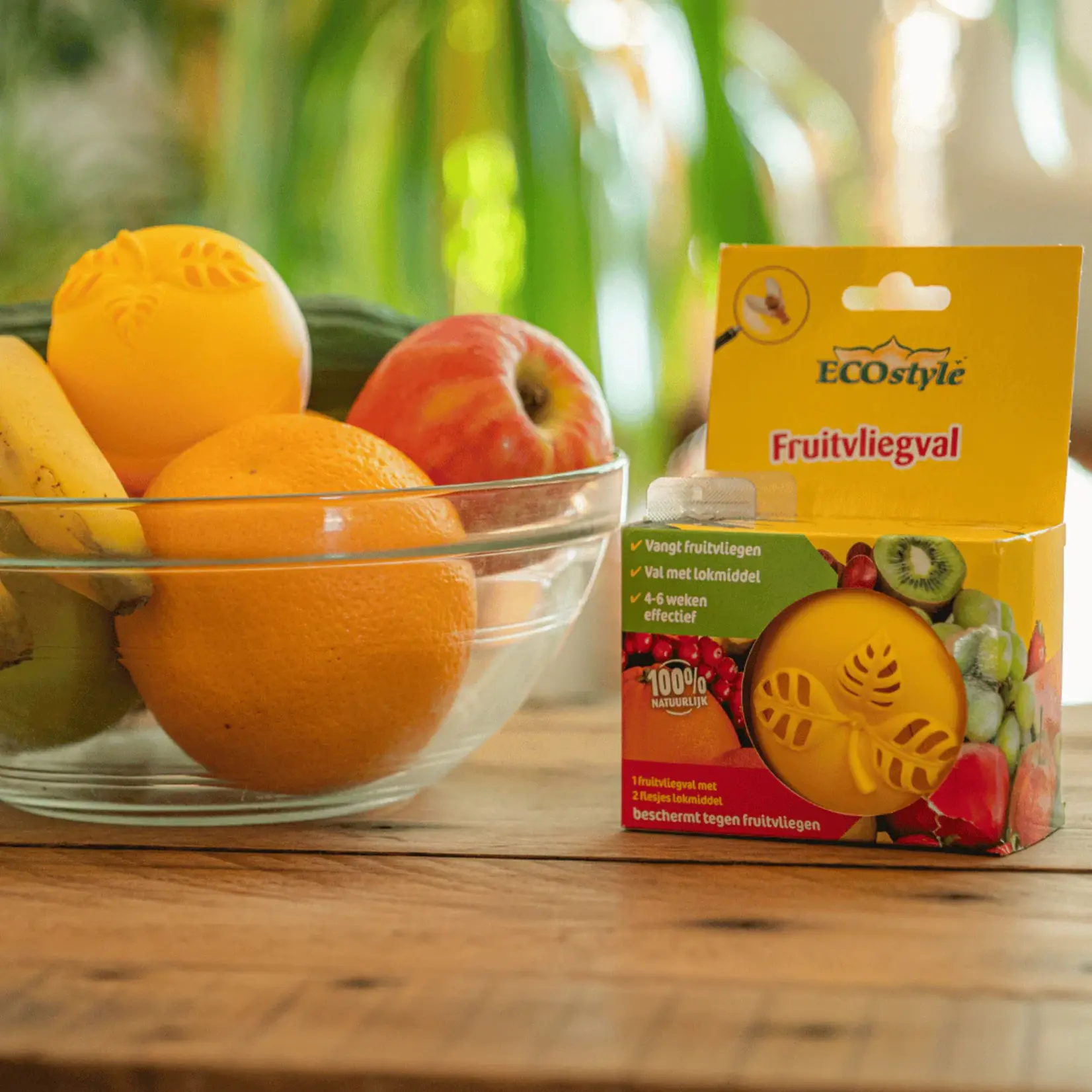 ECOstyle Fruitvliegval