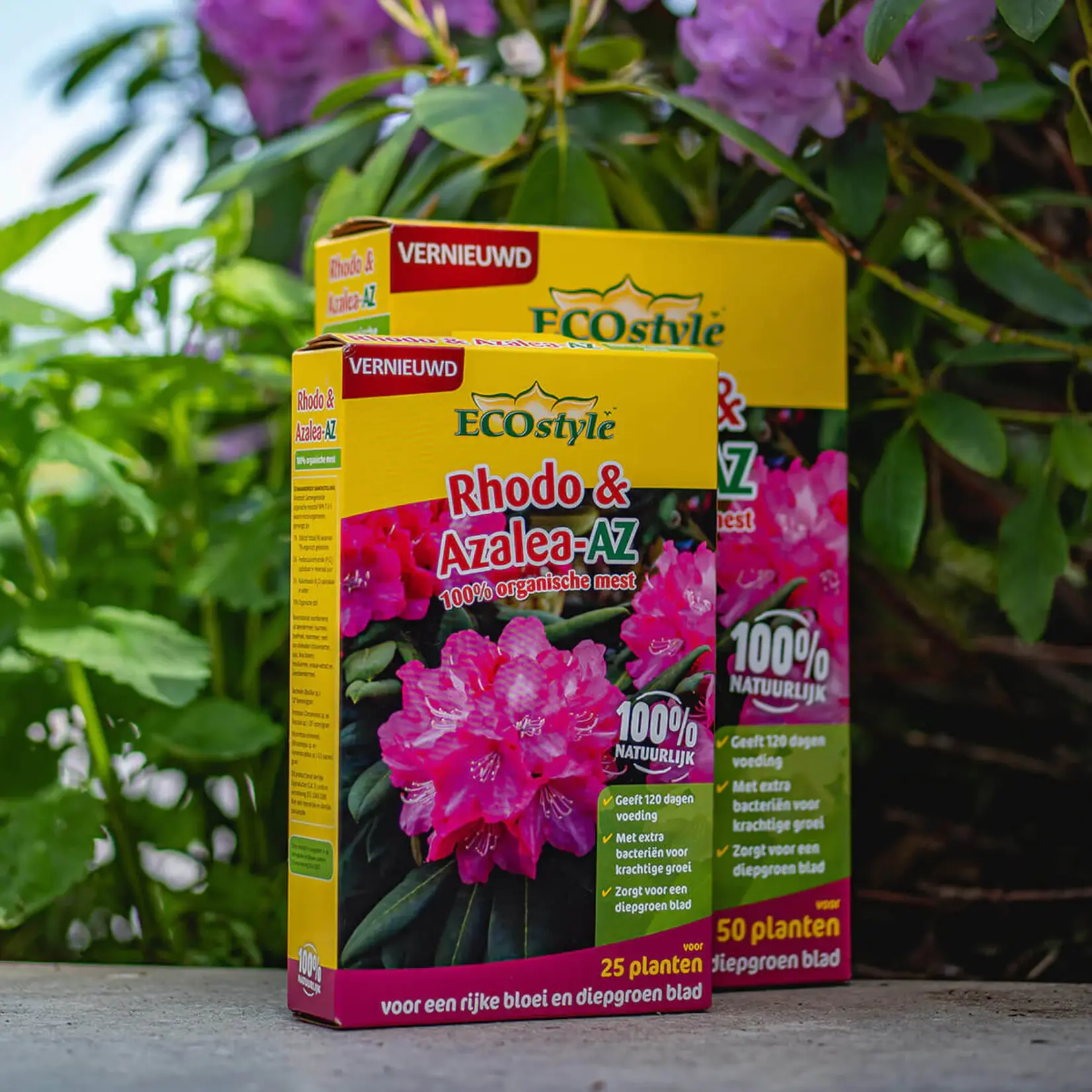 ECOstyle Rhodo & Azalea-AZ meststof 1,6 kg (voor ca. 50 planten)