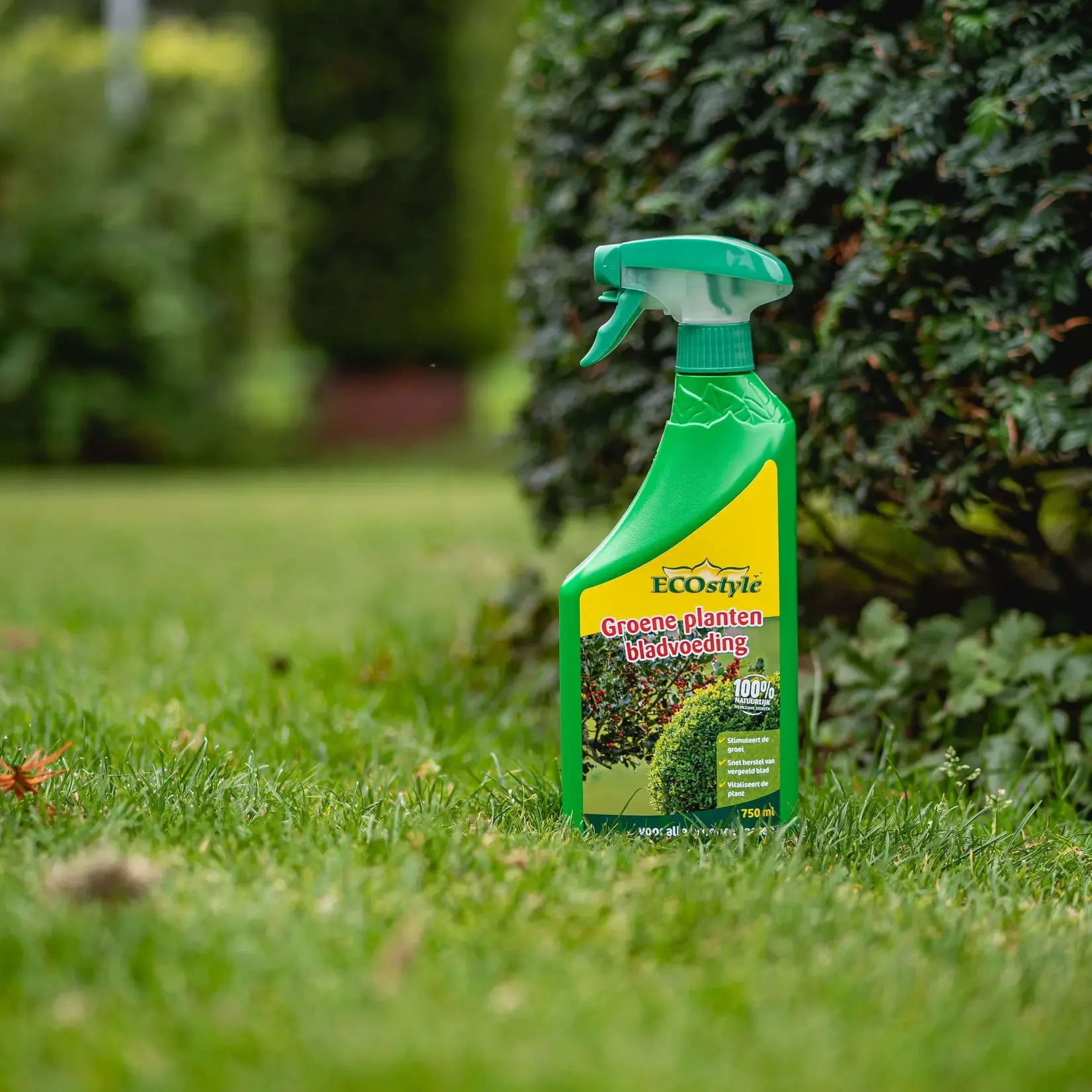 ECOstyle Buxus & Groene planten Bladvoeding 750 ml (spray)