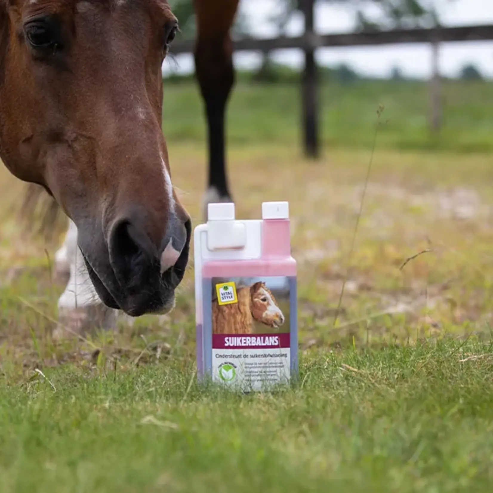 VITALstyle SuikerBalans grootverpakking 2,5 liter