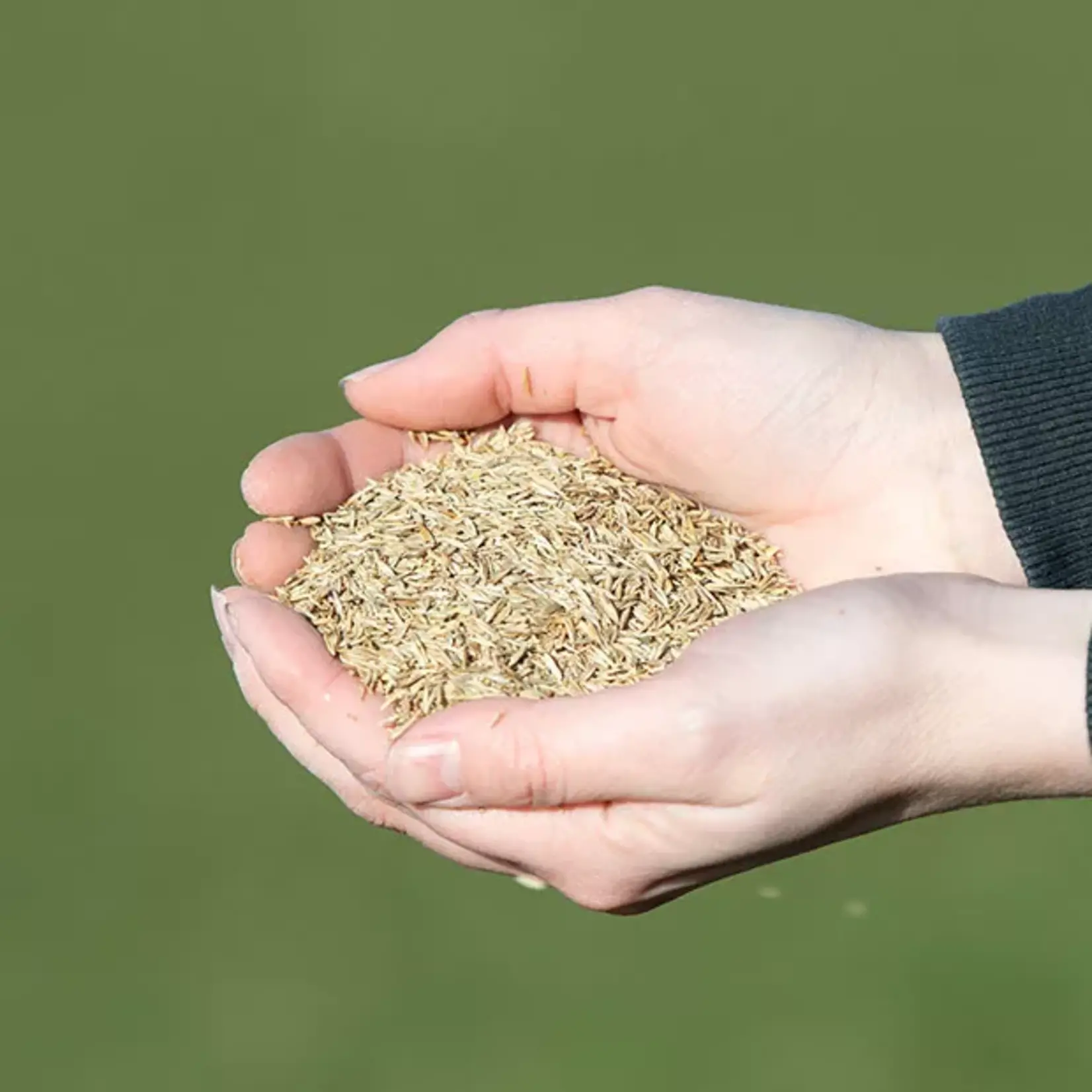 VITALstyle WeideGraszaad 15 kg