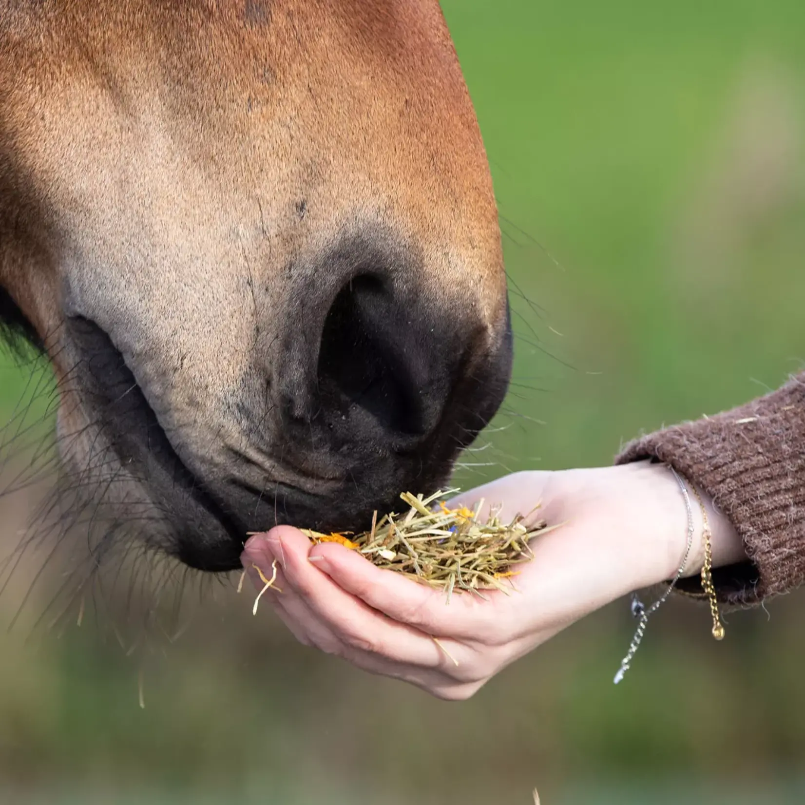 VITALstyle Ruwvoer mix Soft & Fiber 15 kg