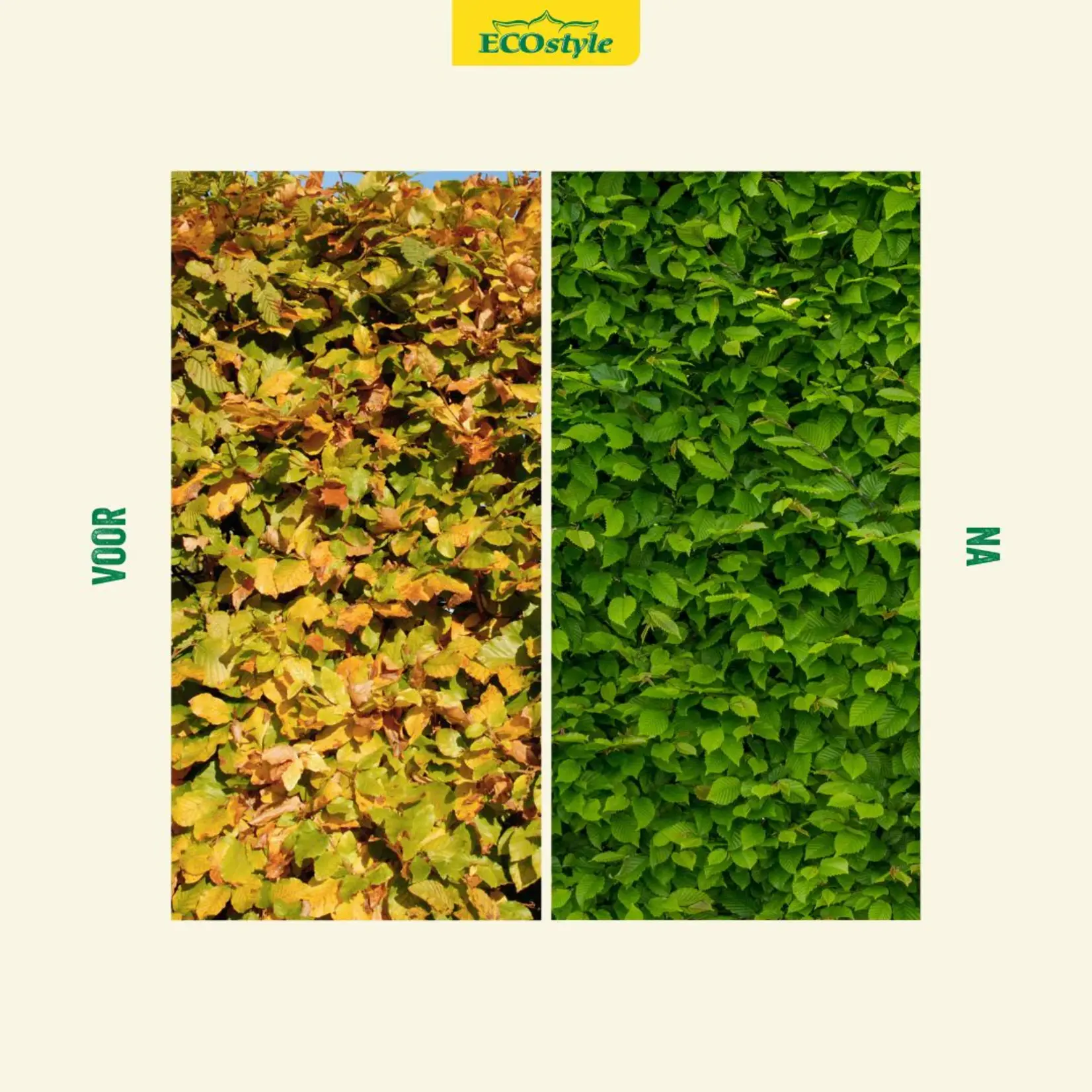 ECOstyle Hagen-AZ meststof 4 kg (voor ca. 75 meter haag)