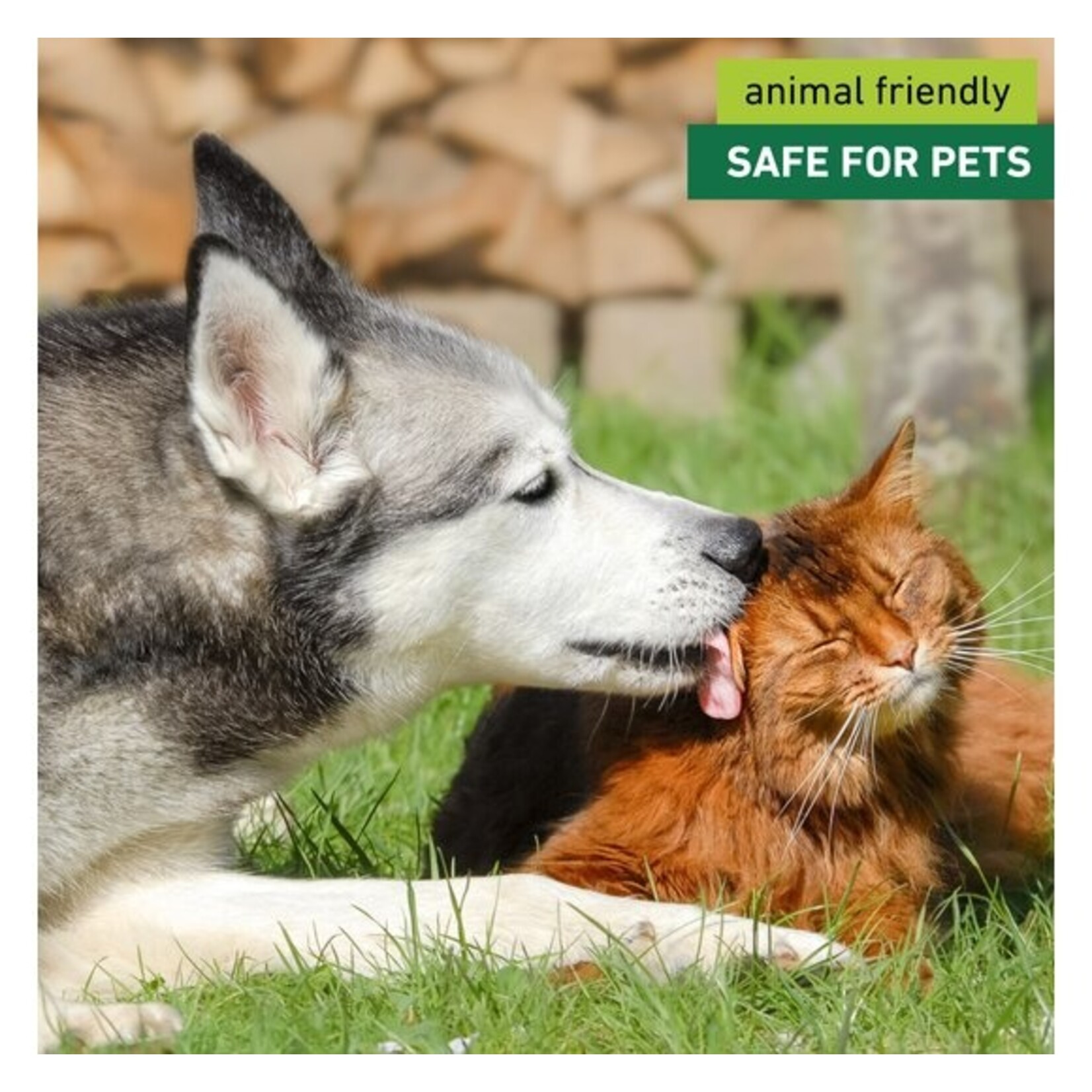 Windhager Woelmuizen en Mollen Stop Solar