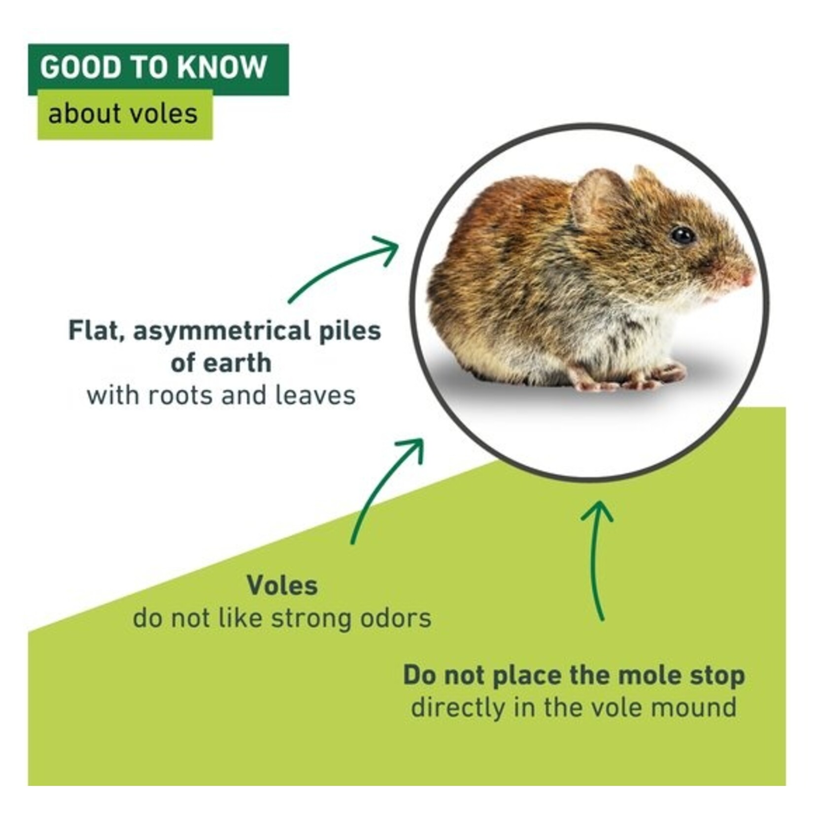 Windhager Woelmuizen en Mollen Stop Solar