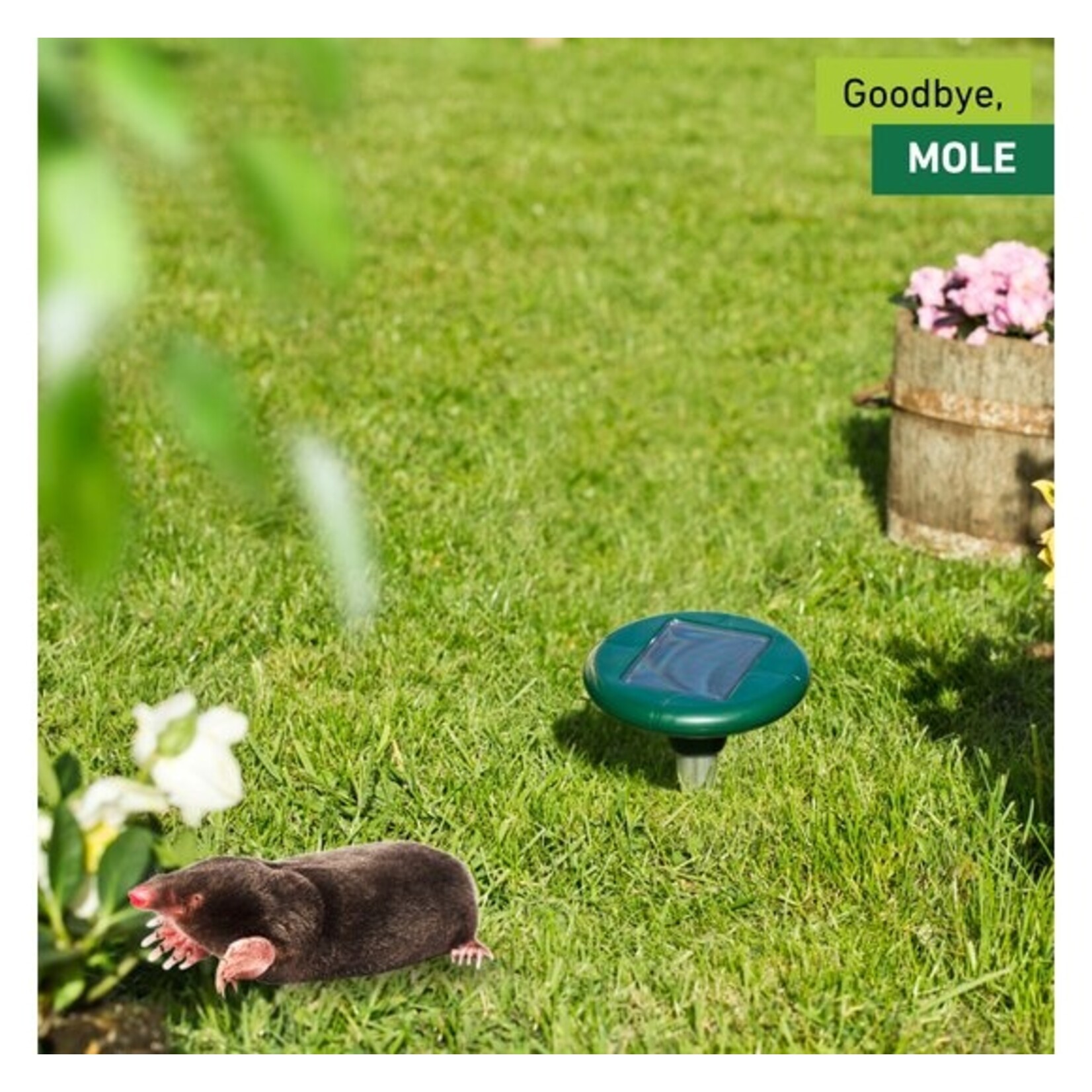 Windhager Woelmuizen & Mollenverjager Solar