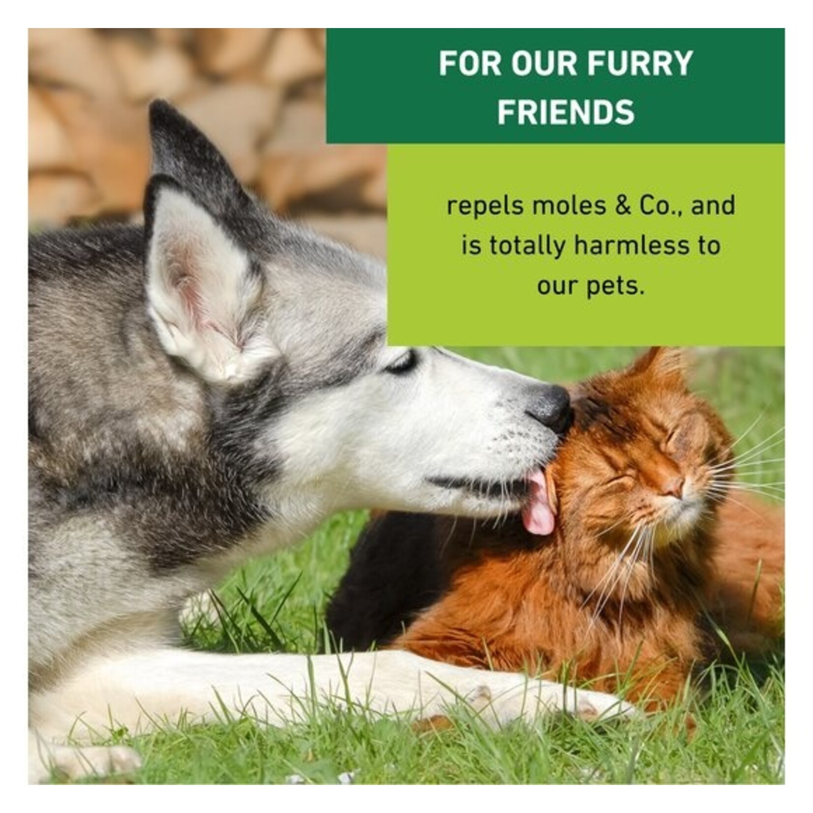 Windhager Woelmuizen & Mollenverjager Solar