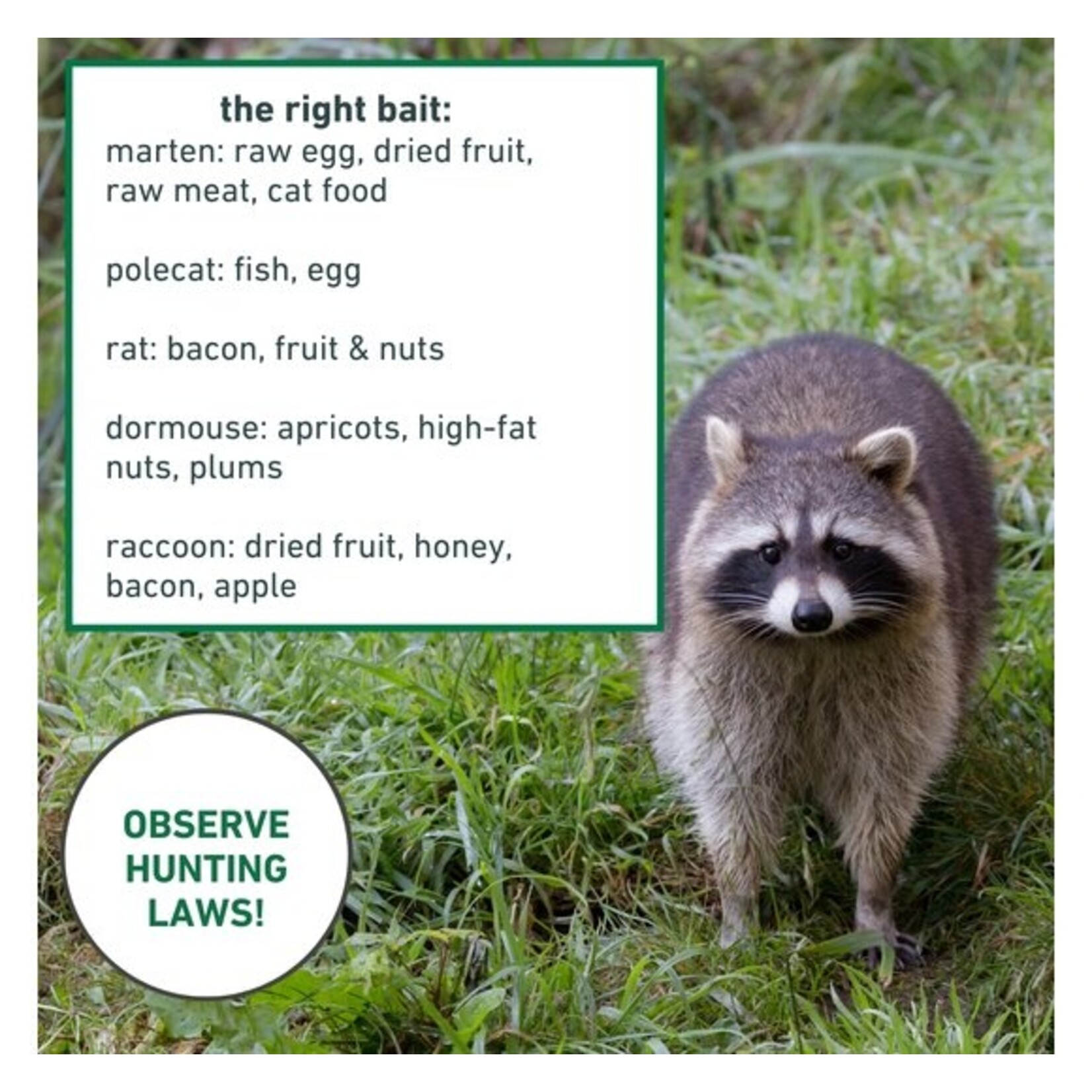 Windhager Marter & Rattenval duurzaam gegalvaniseerd