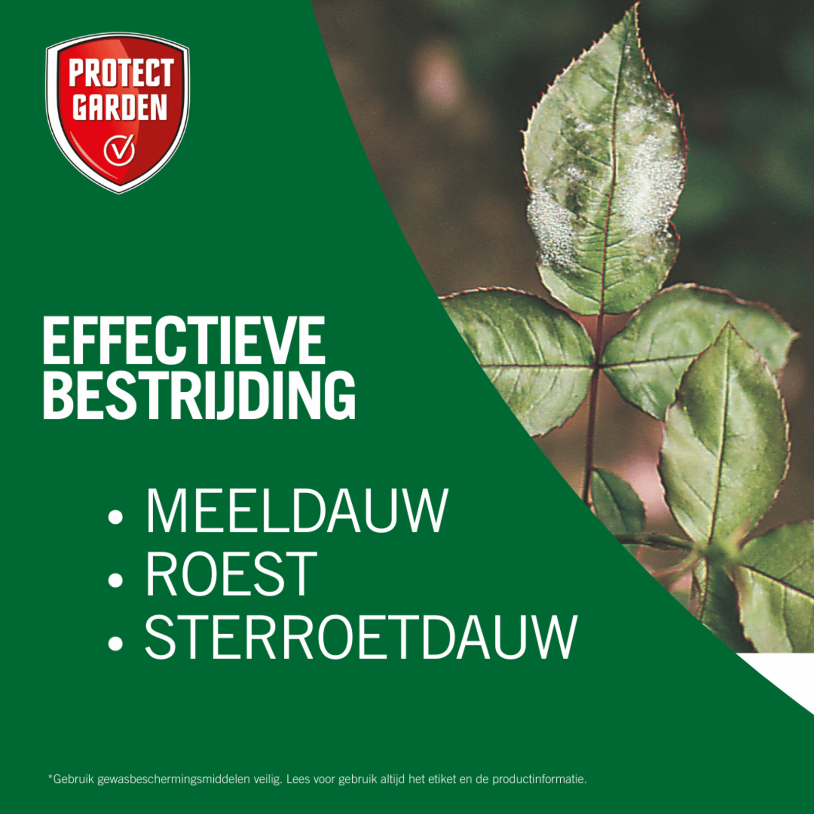 Protect Garden Rosacur (concentraat) 50 ml tegen schimmels op planten