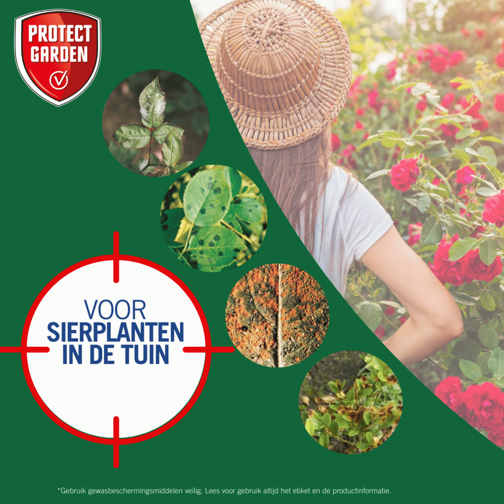Protect Garden Rosacur (concentraat) 50 ml tegen schimmels op planten
