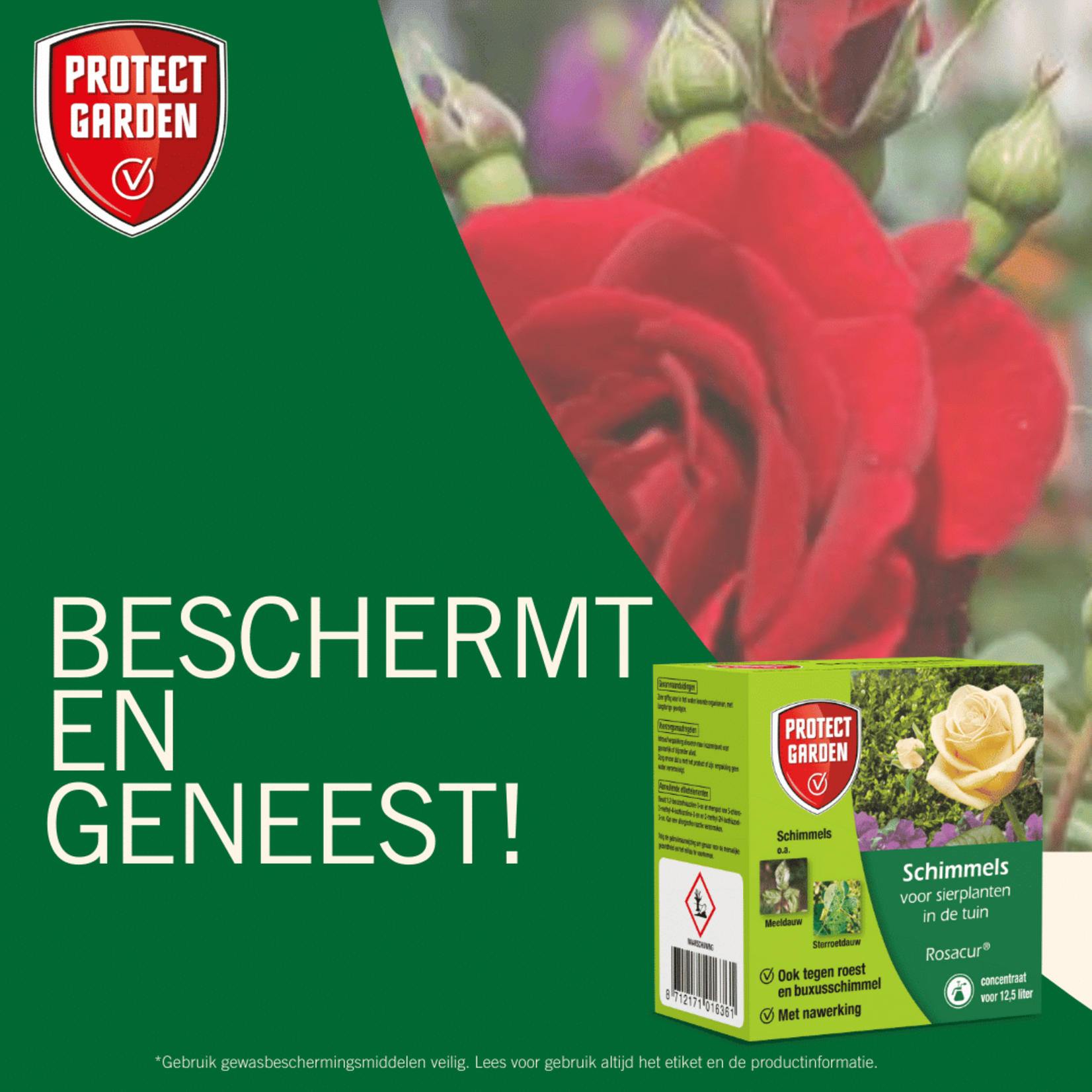 Protect Garden Rosacur (concentraat) 50 ml tegen schimmels op planten