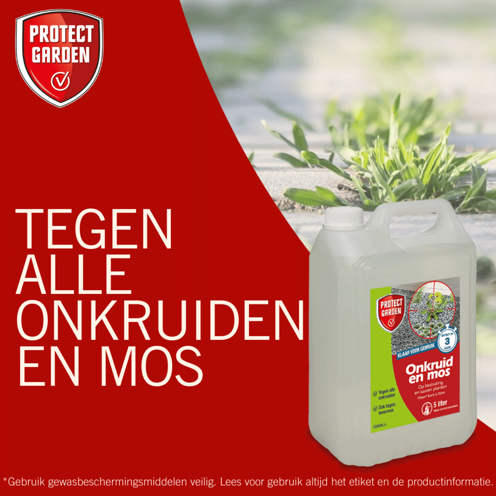 Protect Garden Flitser 3 in 1 spray (5 Liter) tegen onkruid, groene aanslag en mos (gebruiksklaar)
