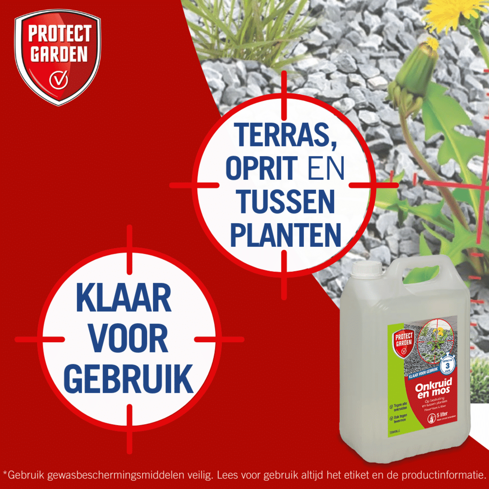 Protect Garden Flitser 3 in 1 spray (5 Liter) tegen onkruid, groene aanslag en mos (gebruiksklaar)