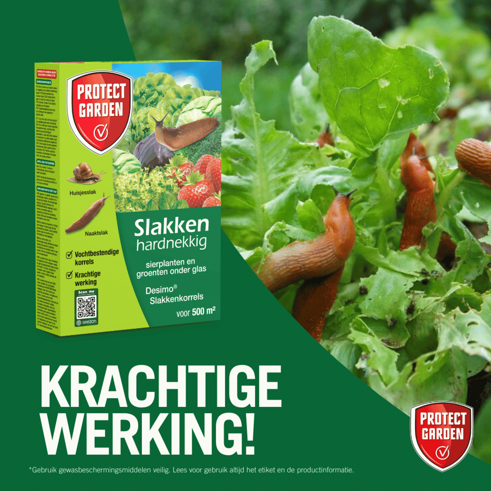 Protect Garden Desimo Duo tegen hardnekkige slakken 250 gram