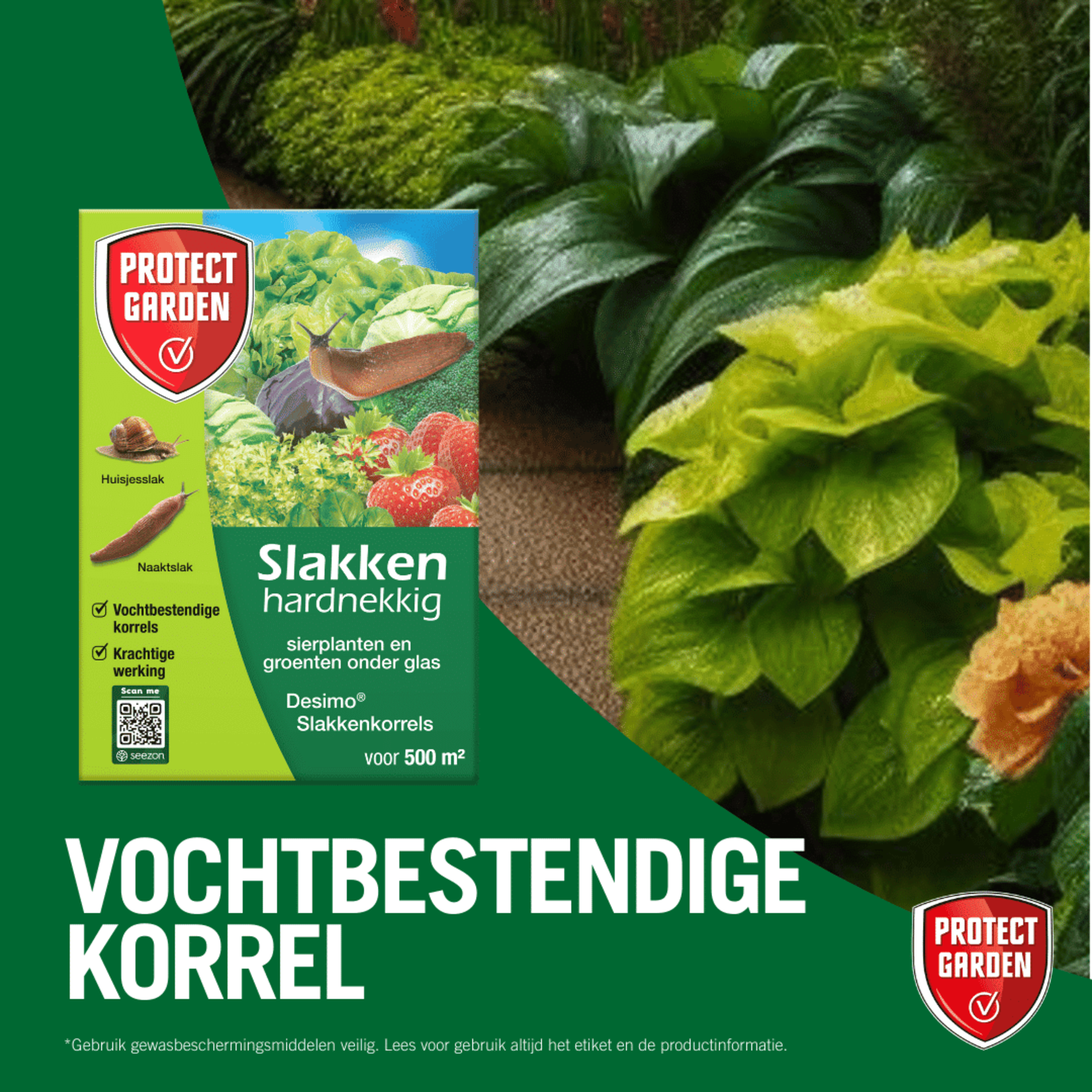 Protect Garden Desimo Duo tegen hardnekkige slakken 250 gram