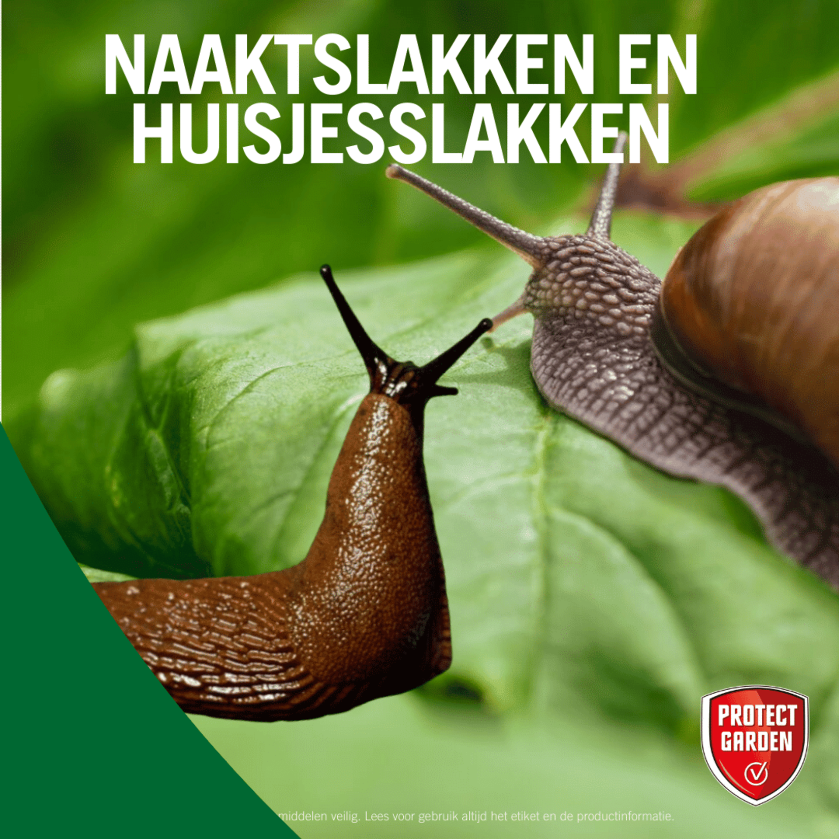 Protect Garden Desimo Duo tegen hardnekkige slakken 250 gram
