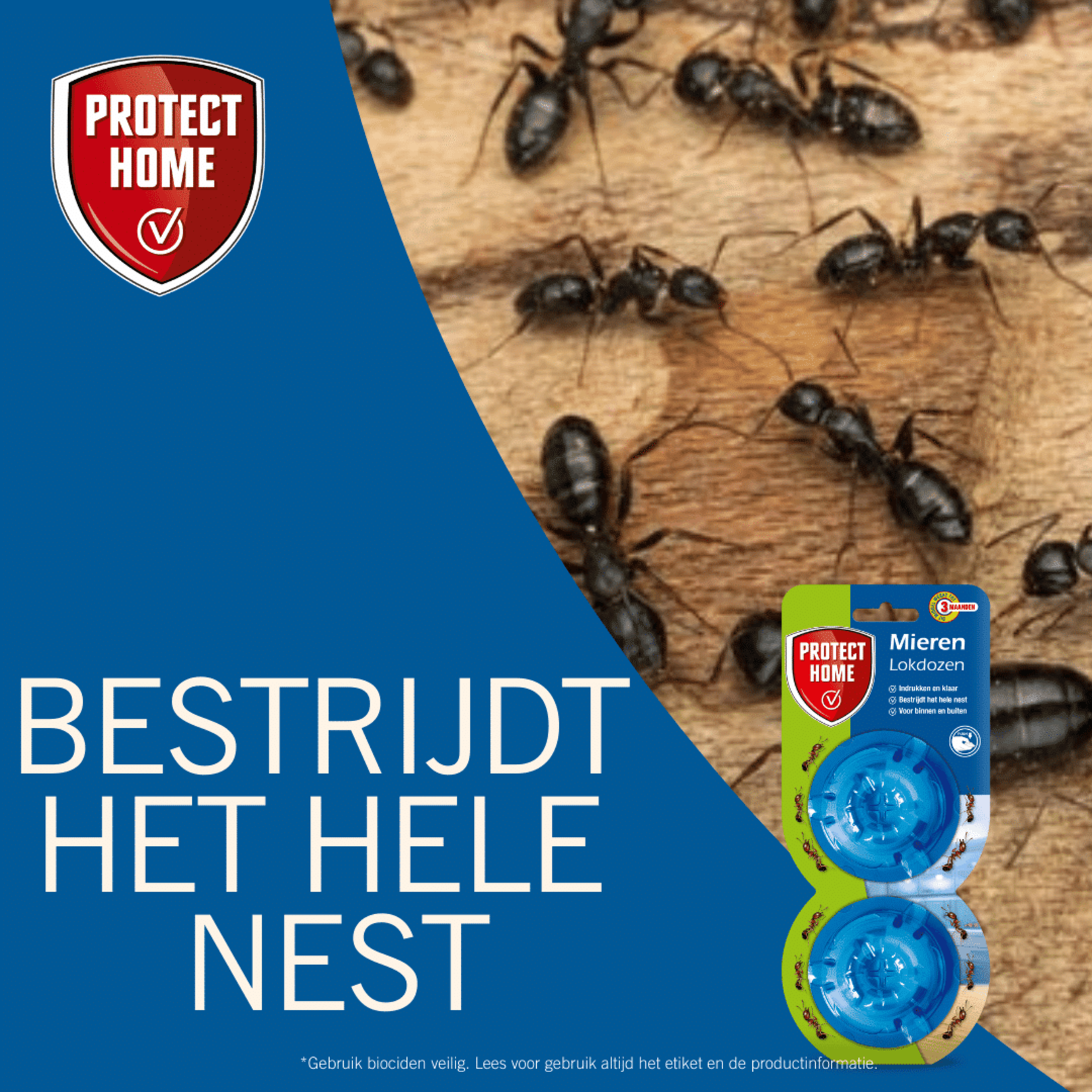 Protect Home Piron pushbox 2 stuks tegen mieren