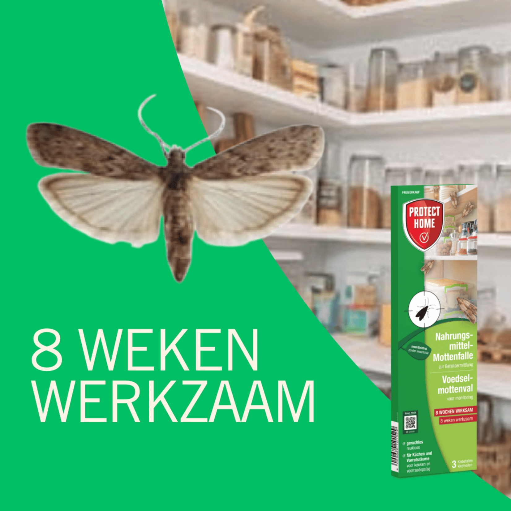 Protect Home Mottenval 3 stuks