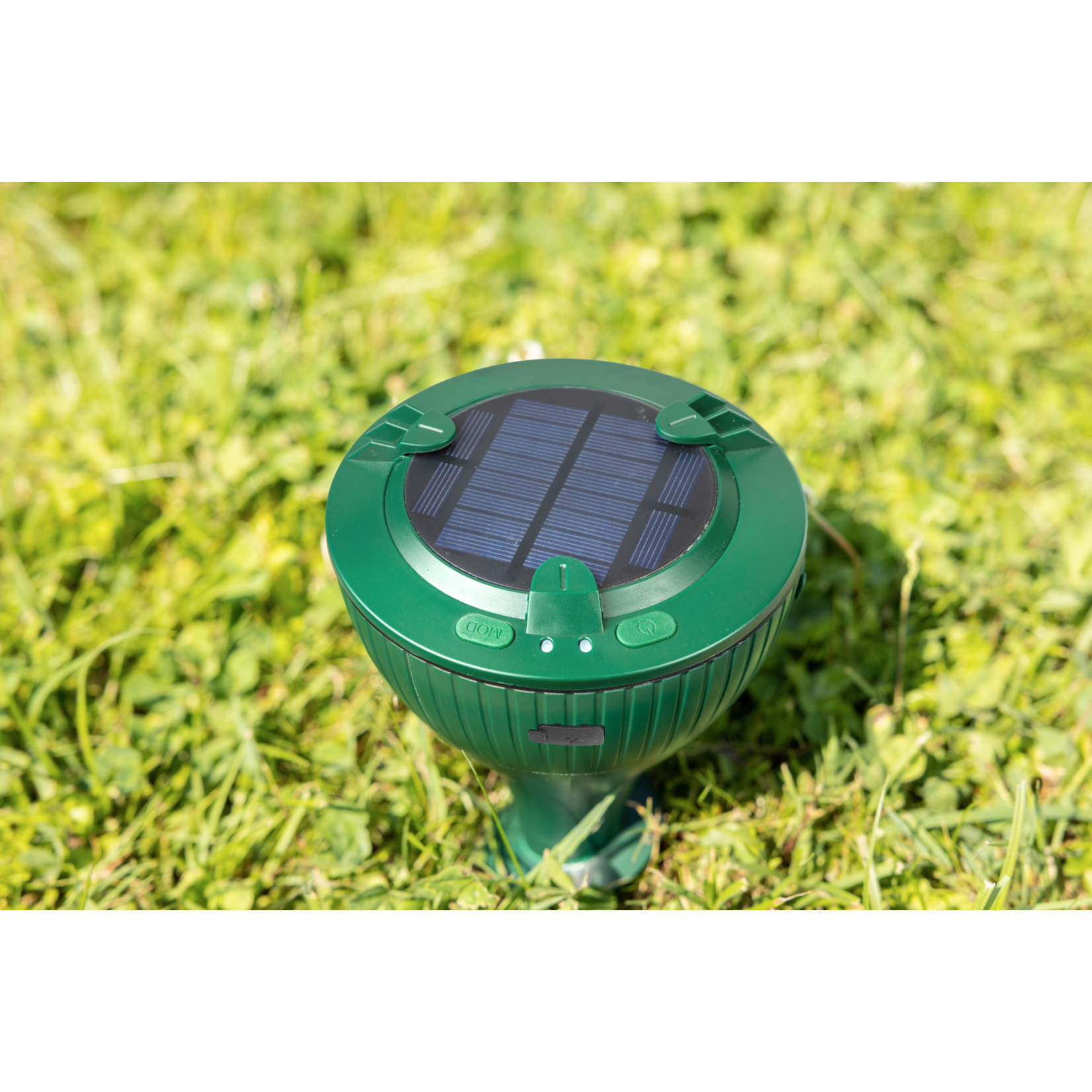 Windhager Woelmuizen en mollen verjager Solar PLUS