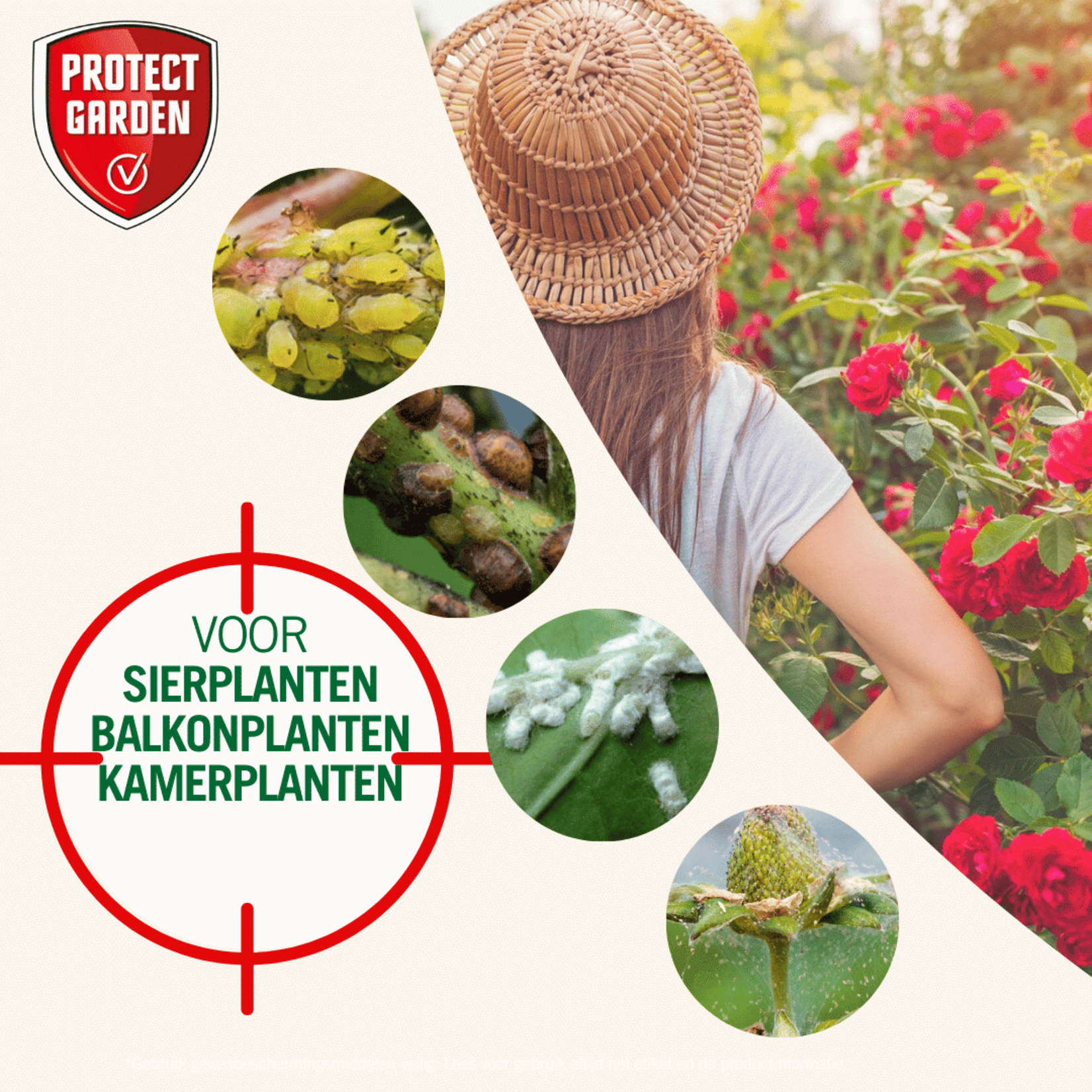 Protect Garden Desect Duo spray Insectenmiddel 1 liter (gebruiksklaar) (voorheen Solabiol)