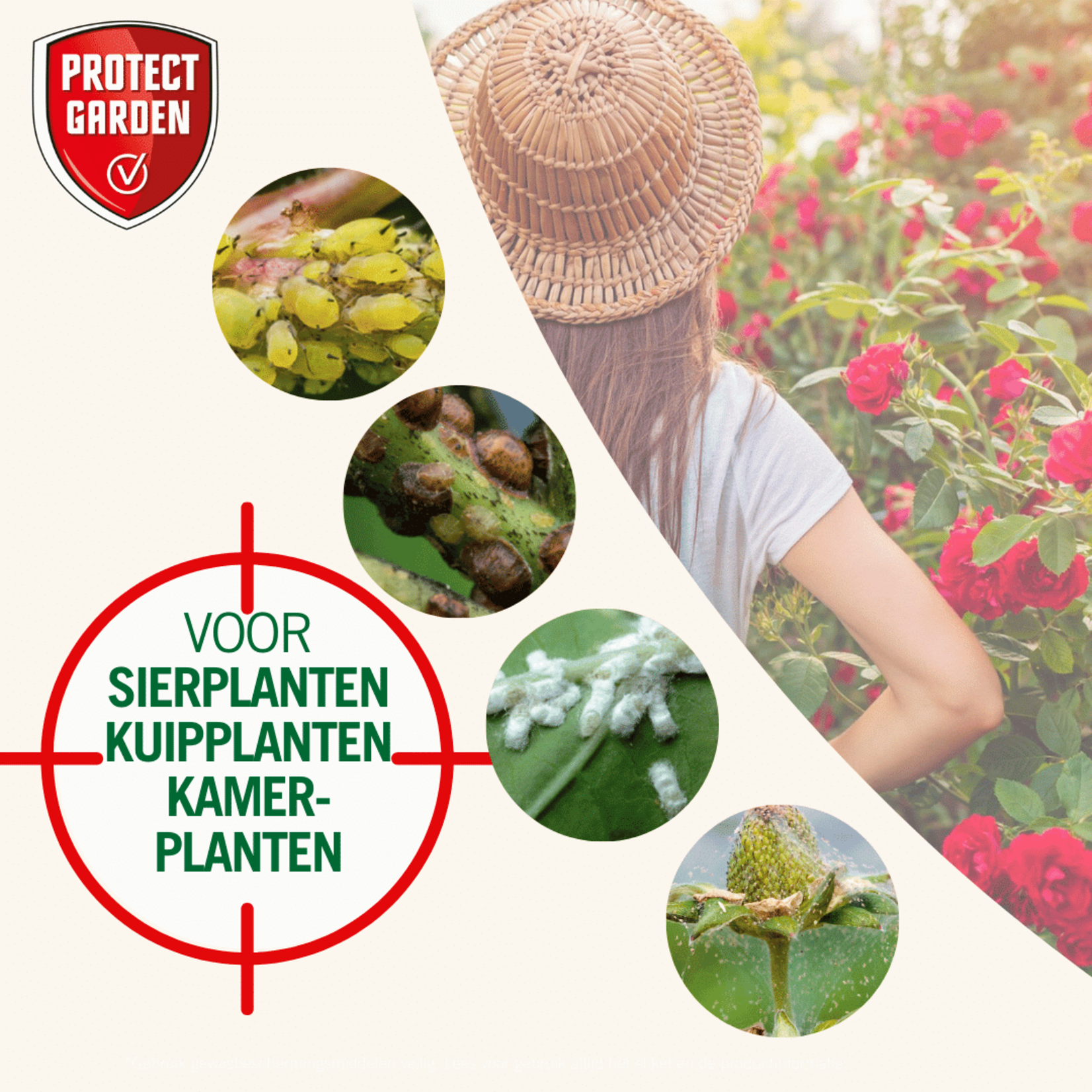 Protect Garden Desect Duo Insectenmiddel 100 ml (concentraat) (voorheen Solabiol)