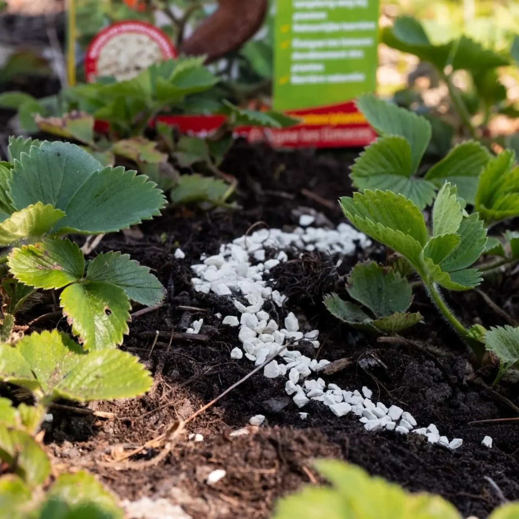 ECOstyle Escar-No Slakkenbarrière 1 kg