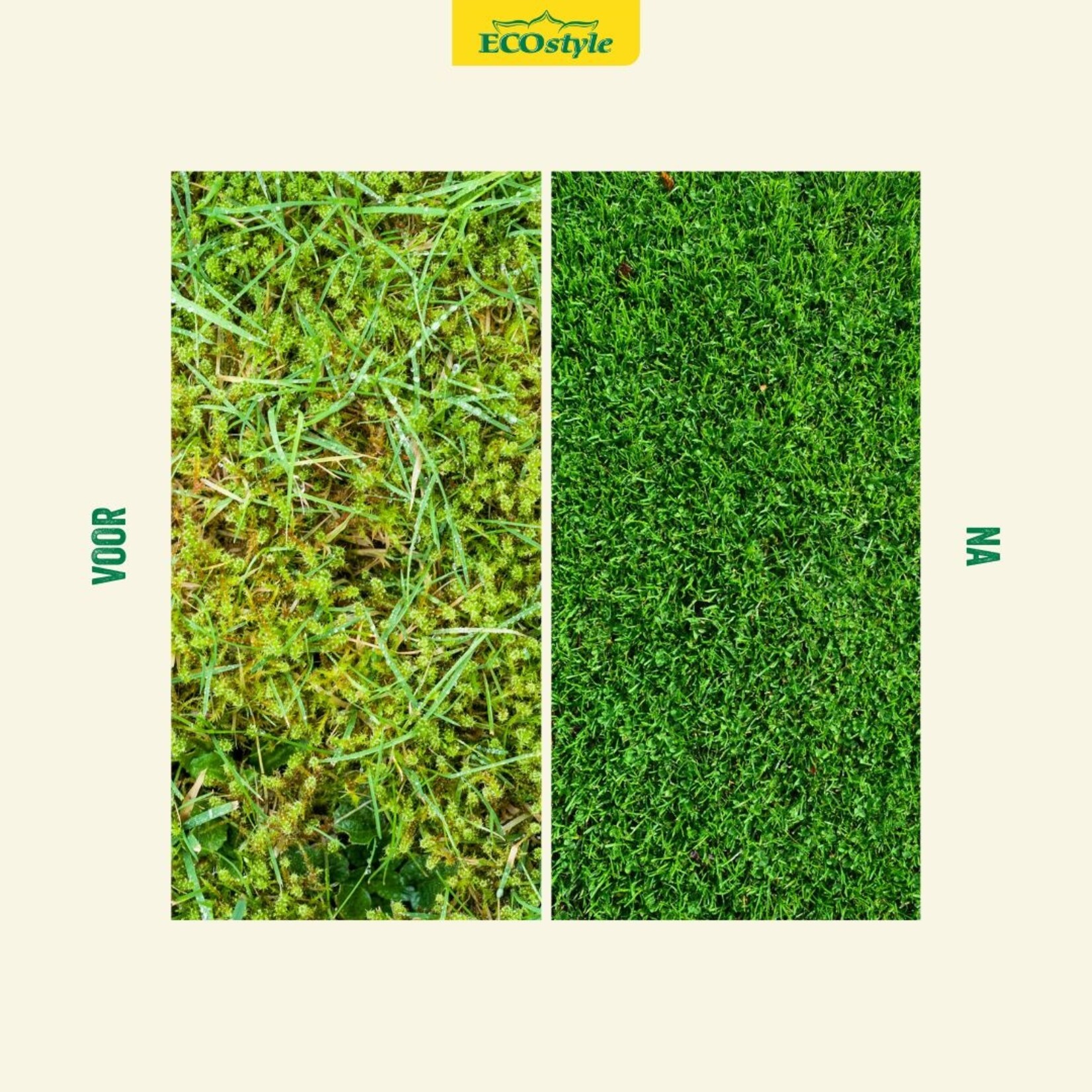 ECOstyle Gazon AZ+ met AZ kalk 18 kg (200 m²)