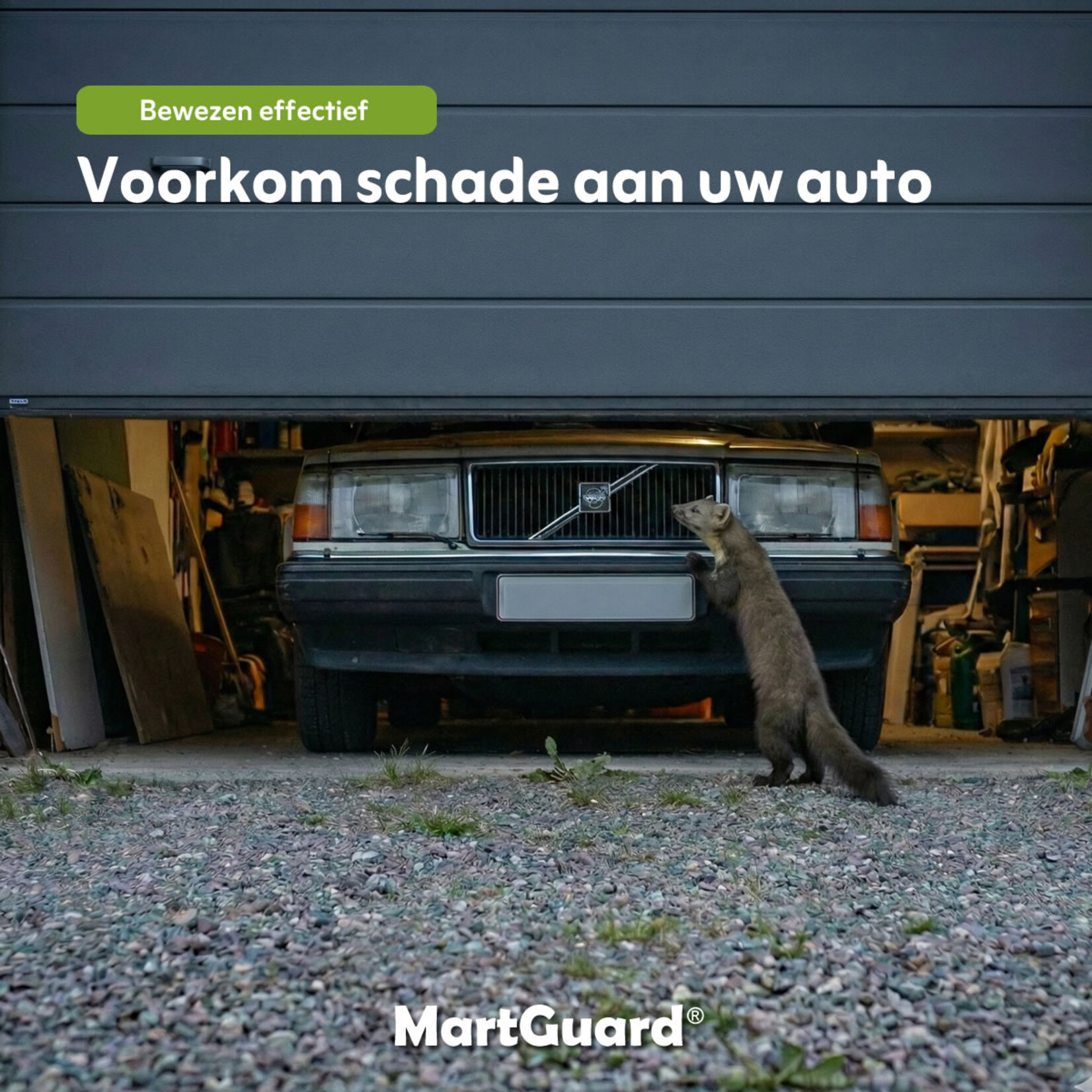 MartGuard® Car Secure marterverjager auto 12 V