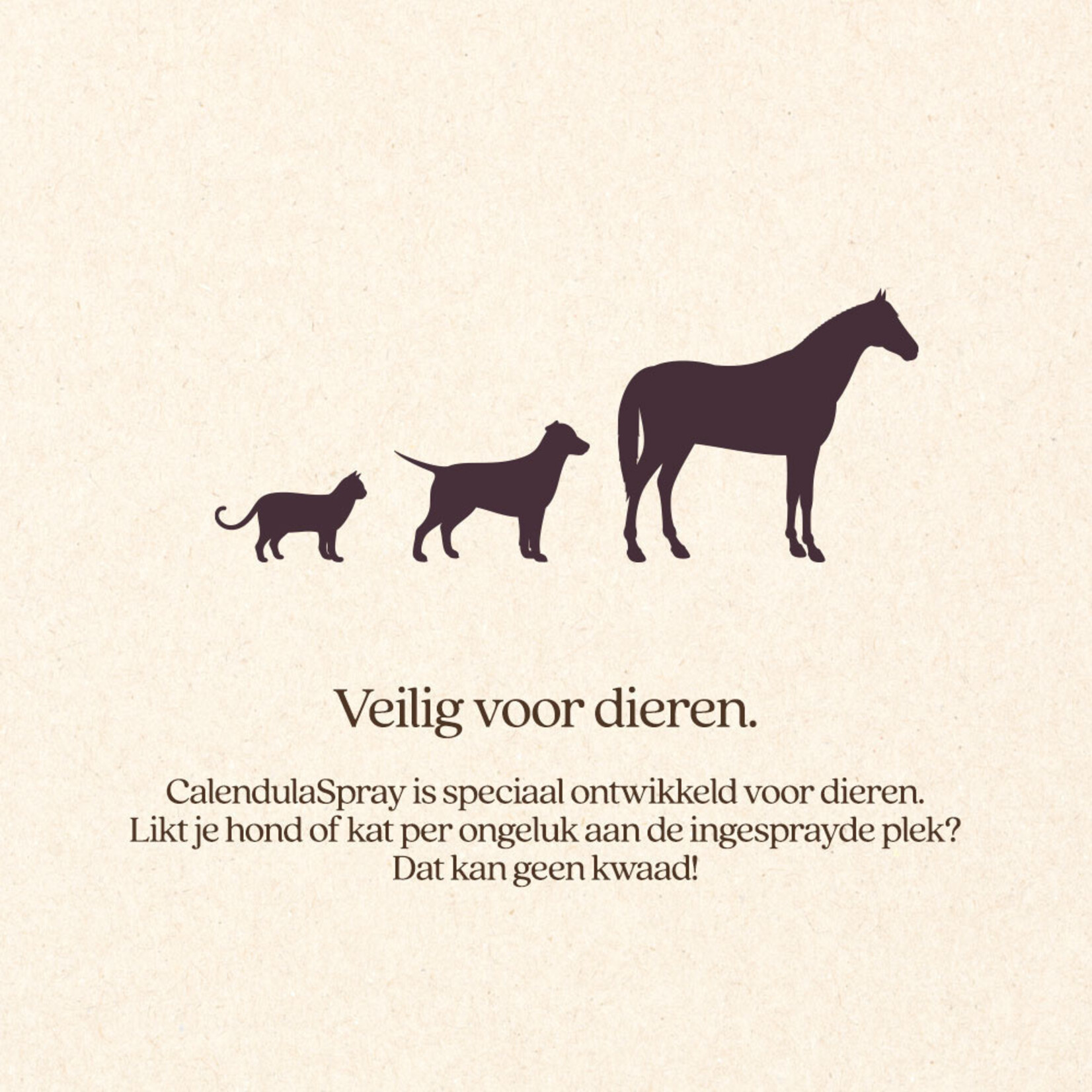 VITALstyle CalendulaSpray 100 ml