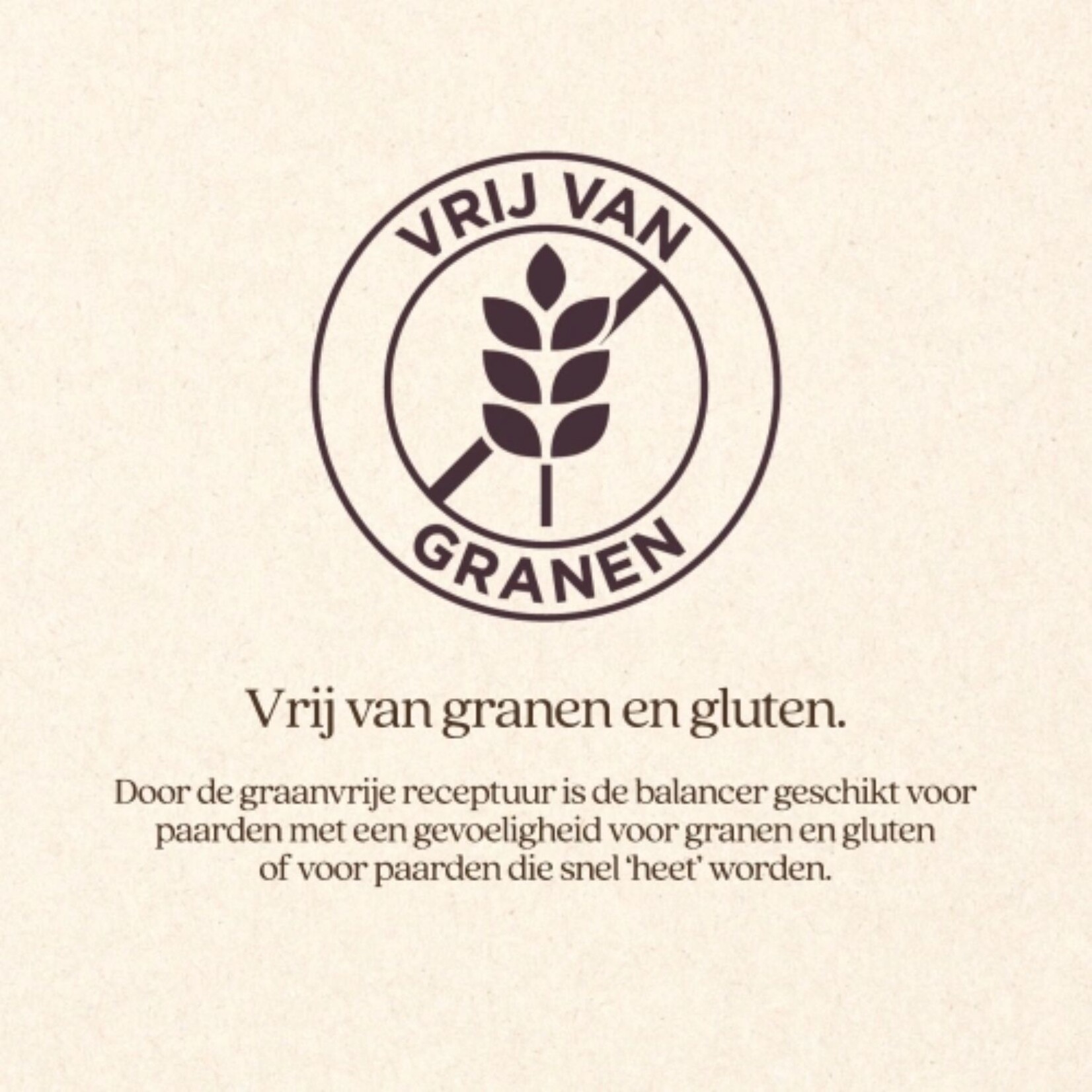 VITALstyle DailyFit Balancer 10 kg