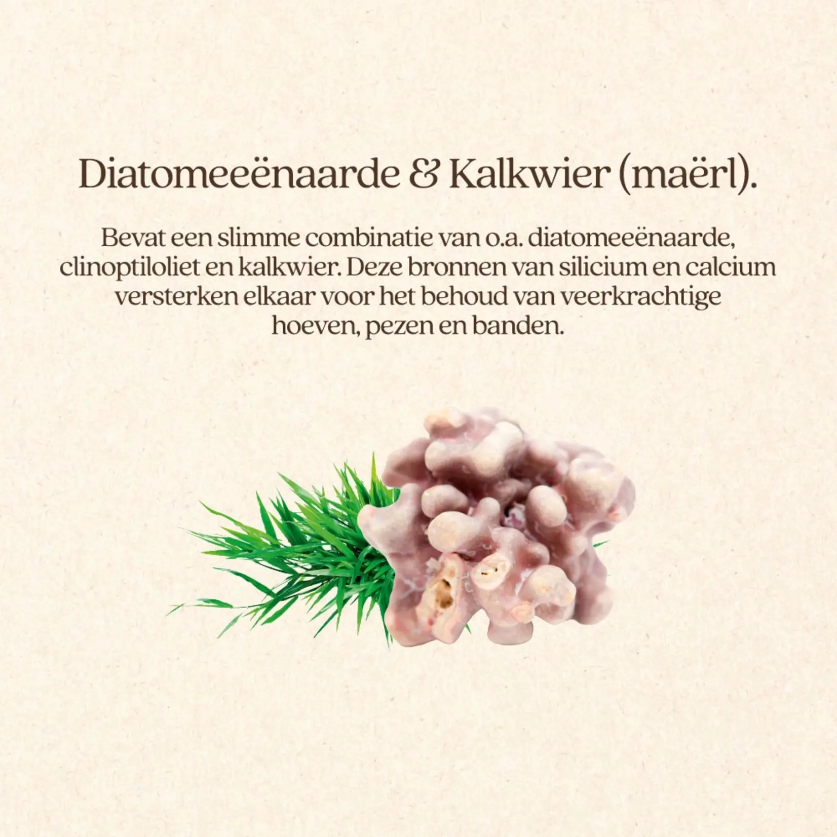 VITALstyle Hoef & Pees 4 kg