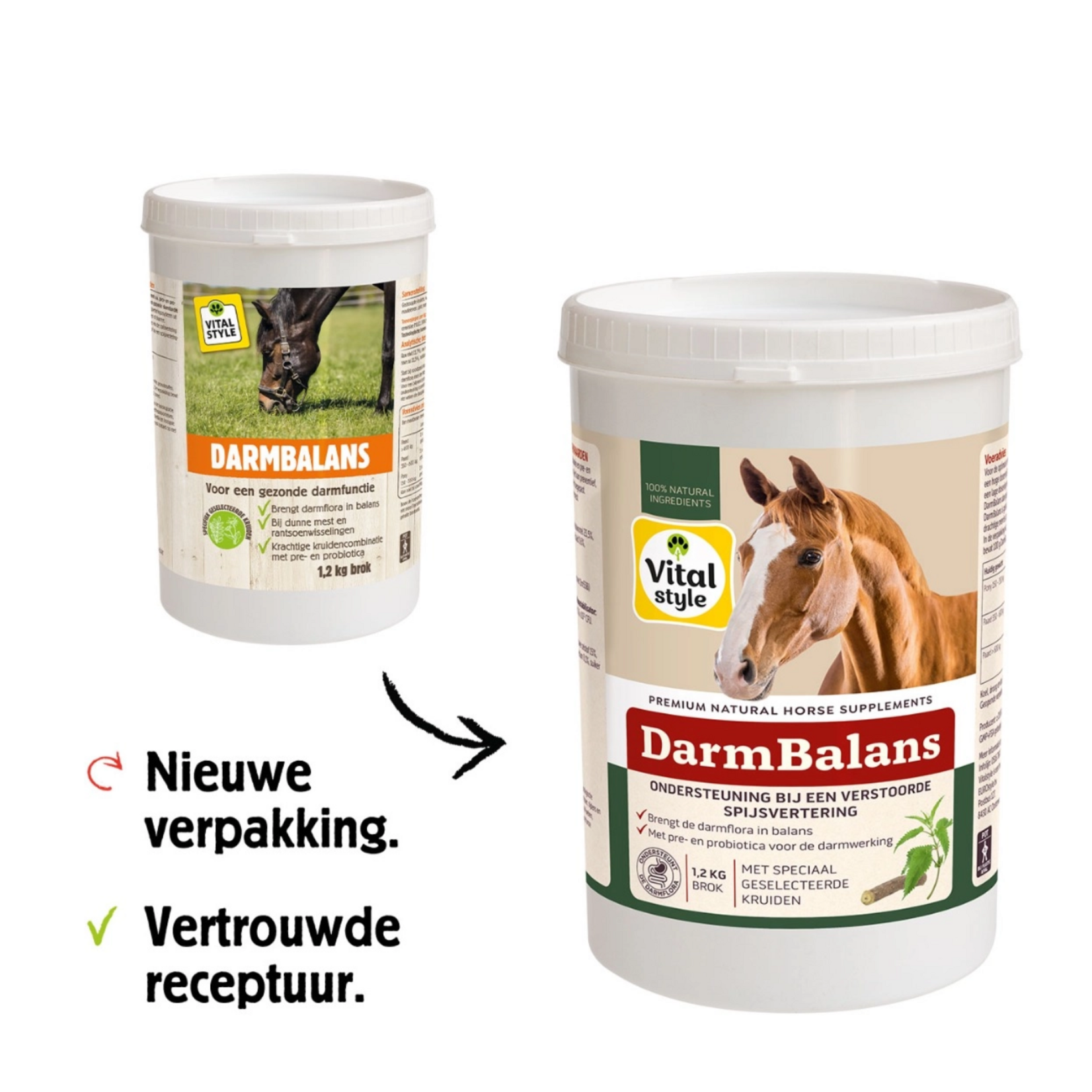 VITALstyle DarmBalans 1,2 kg