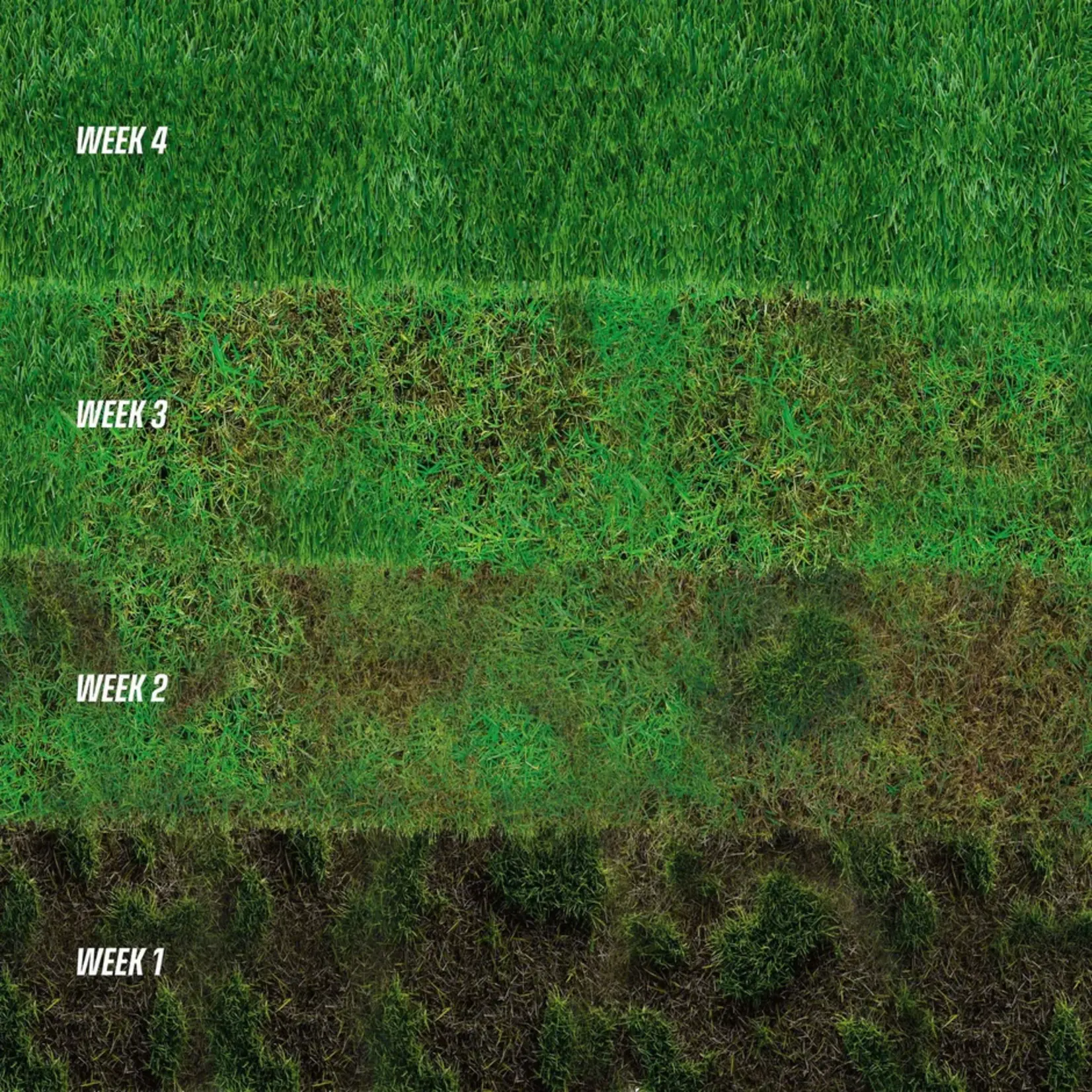 ECOstyle GazonMax 10 kg (200 m²)