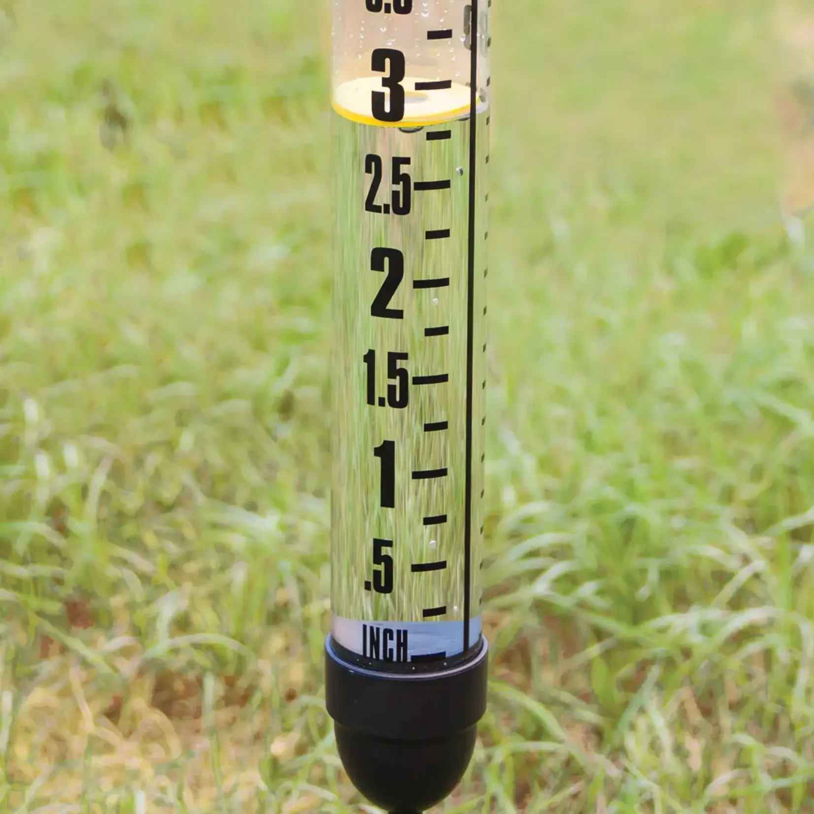 Esschert Kunststof regenmeter