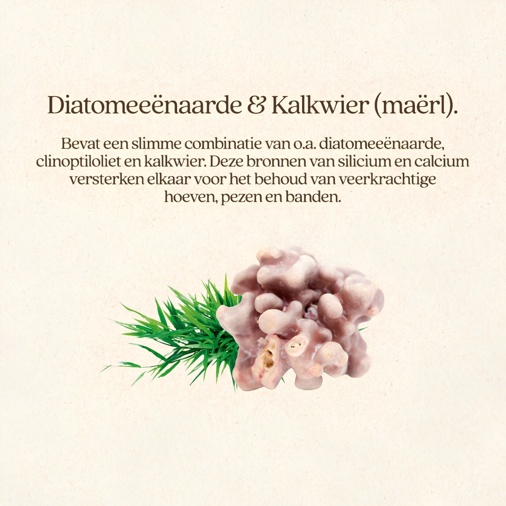 VITALstyle HoofBoost 4 kg