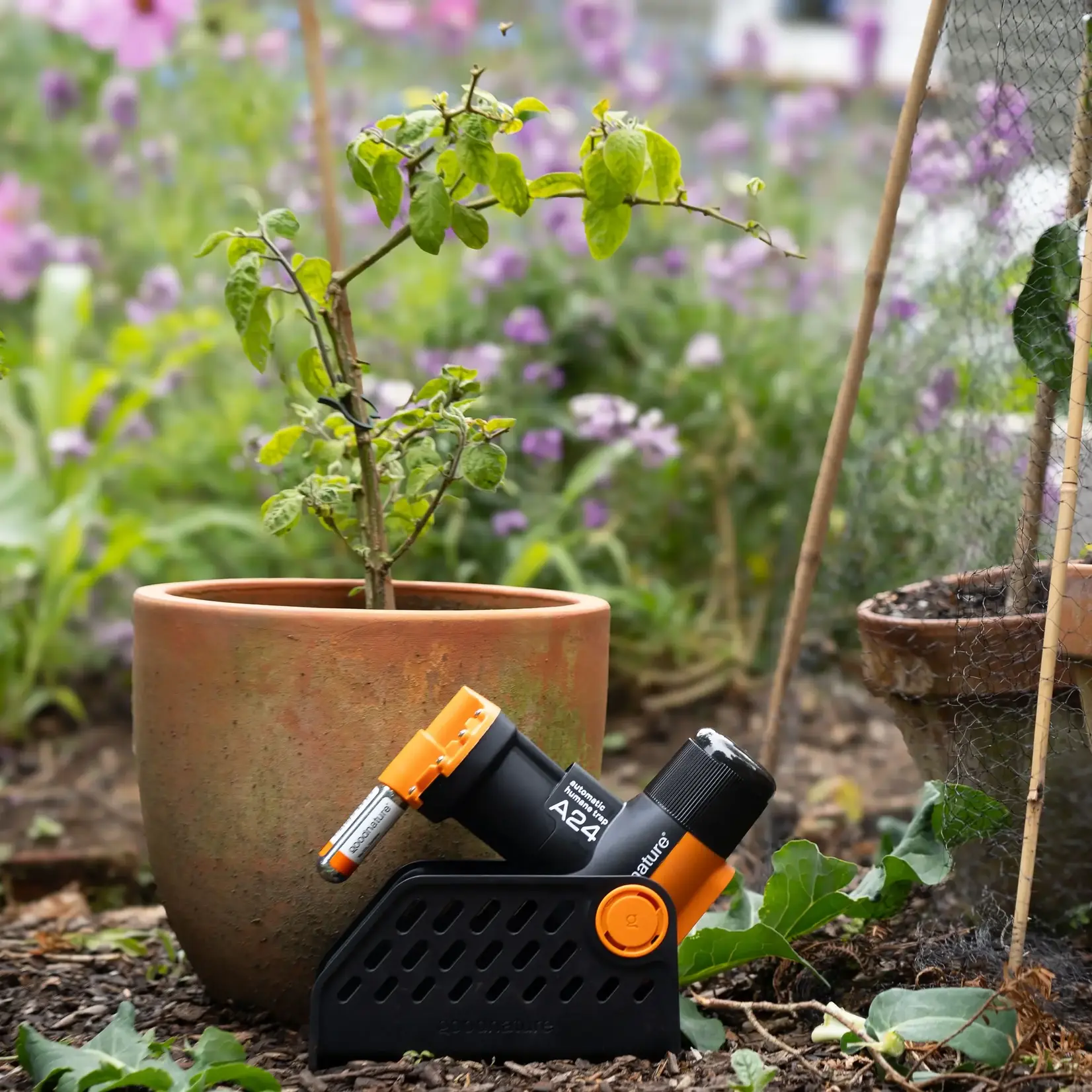 Goodnature®  Automatische Ratten- & Muizenval A24 Smart Trap Kit