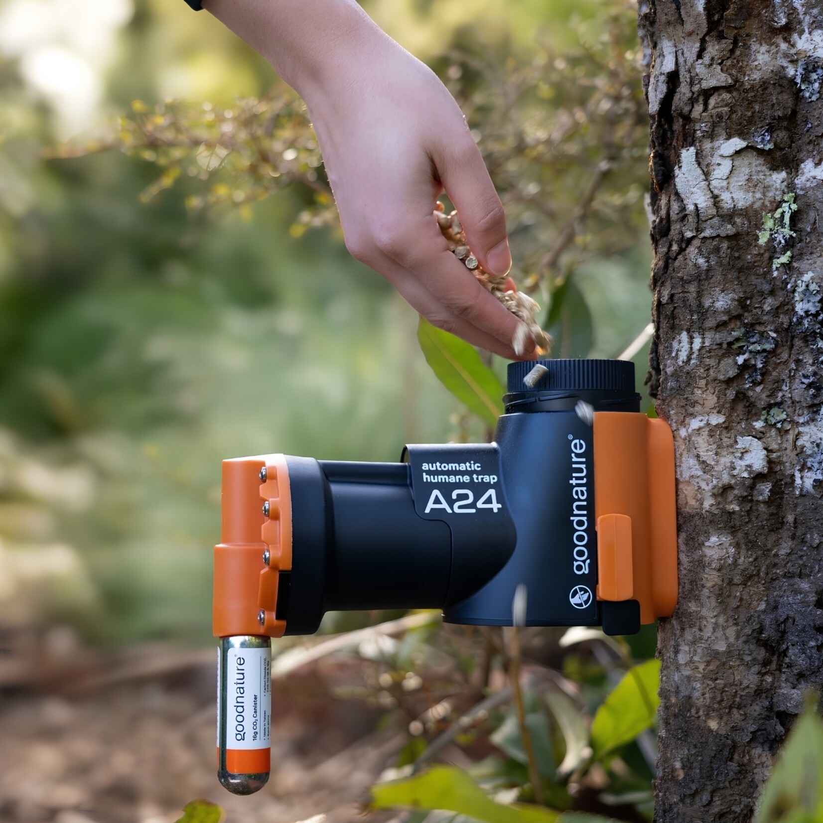 Goodnature®  Automatische Ratten- & Muizenval A24 Smart Trap Kit