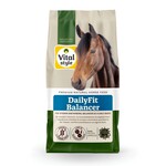 VITALstyle DailyFit Balancer 10 kg
