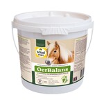 VITALstyle OerBalans brokken 4 kg