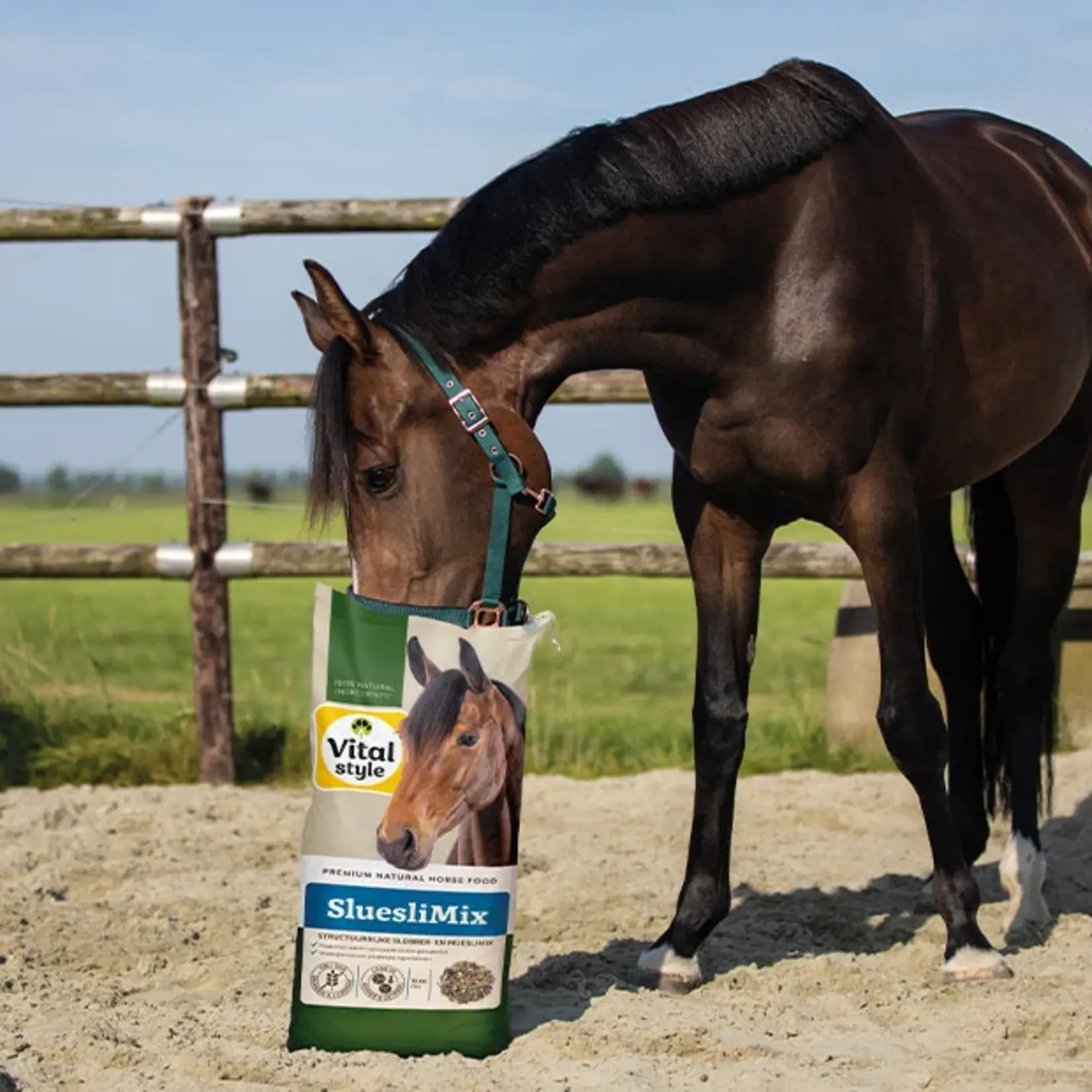 VITALstyle SluesliMix 6 kg