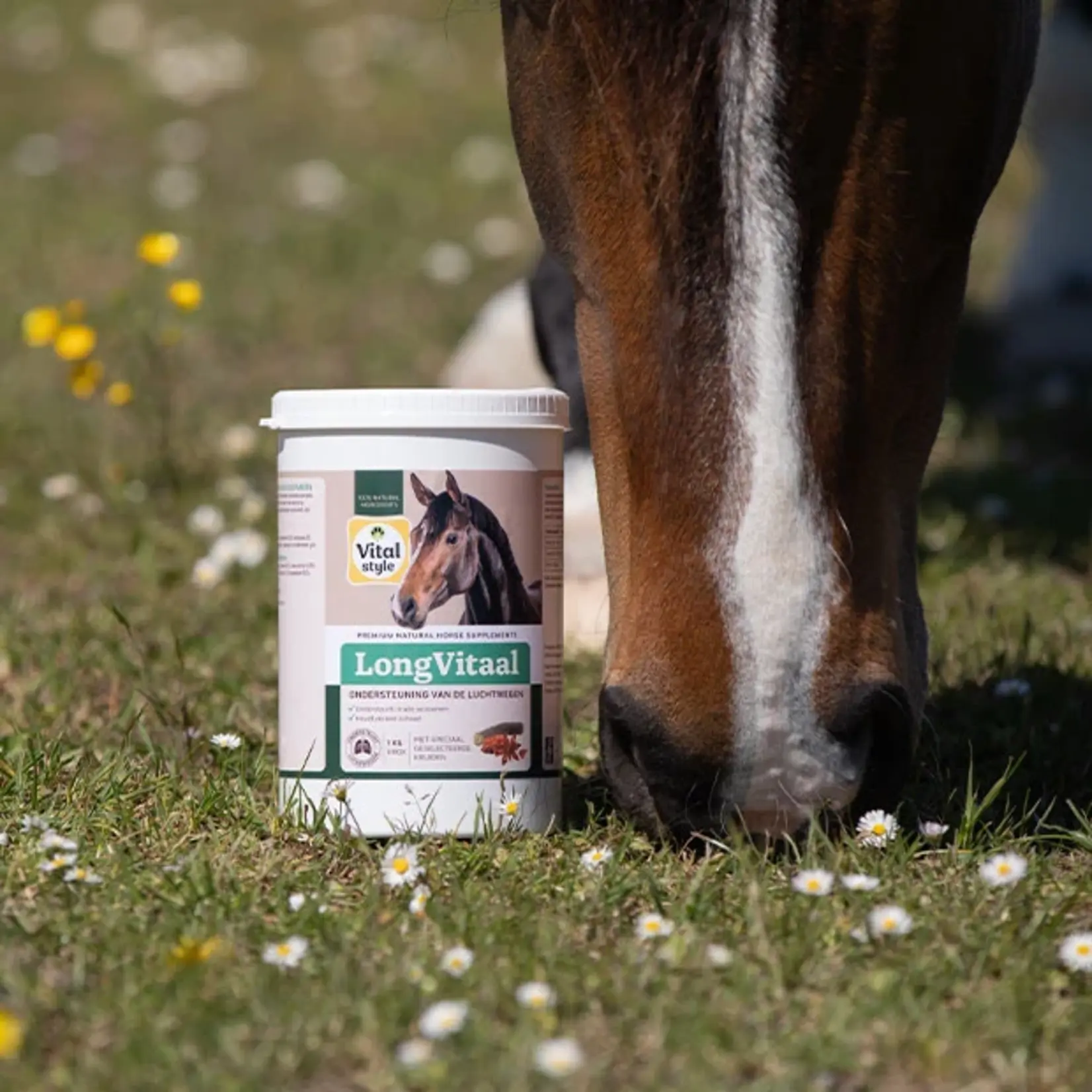 VITALstyle LongVitaal 1 kg