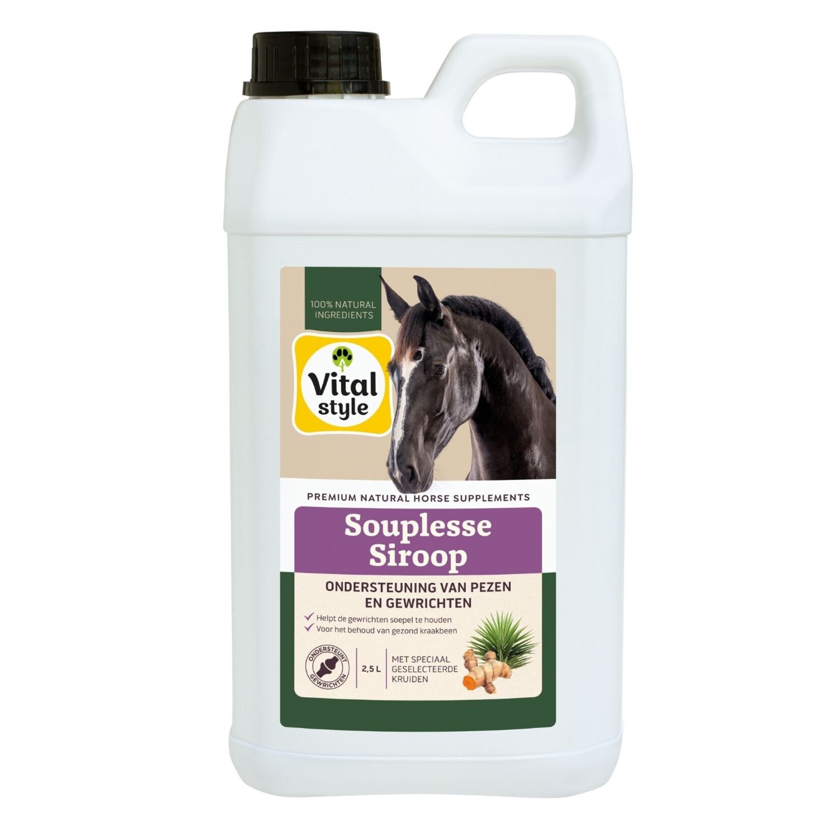 VITALstyle SouplesseSiroop 2,5 Liter