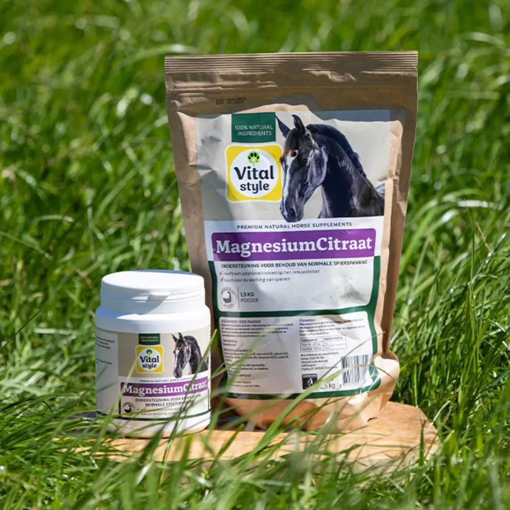 VITALstyle MagnesiumCitraat 1.5 kg poeder